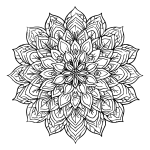 Delicate Floral Mandala with Intricate Petal Patterns coloring page