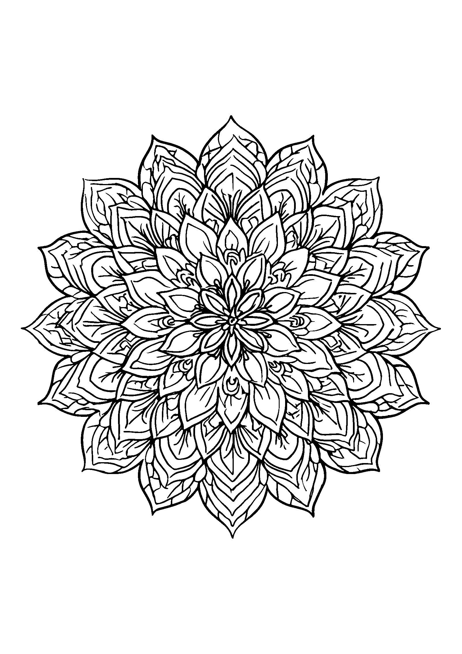 Delicate Floral Mandala with Intricate Petal Patterns coloring page