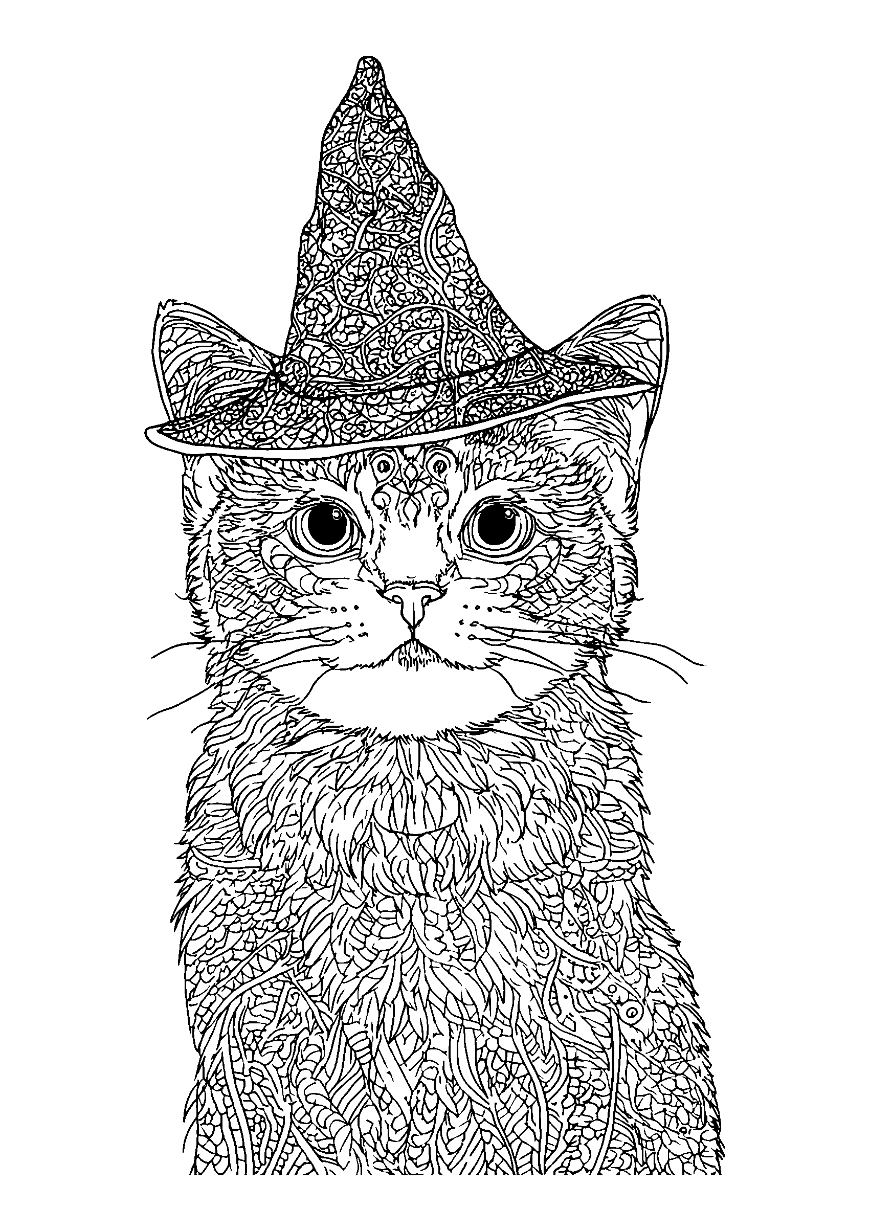 Cat Wearing a Tiny Wizard Hat coloring page