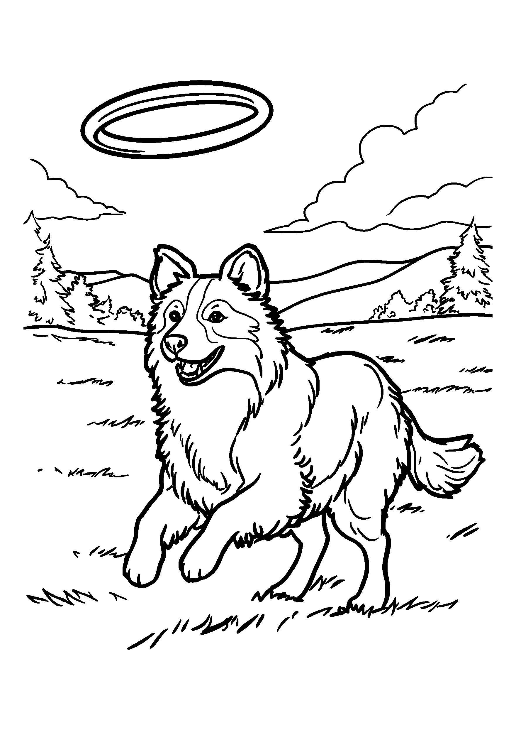 Border Collie Catching a Frisbee Mid-air in a Field coloring page