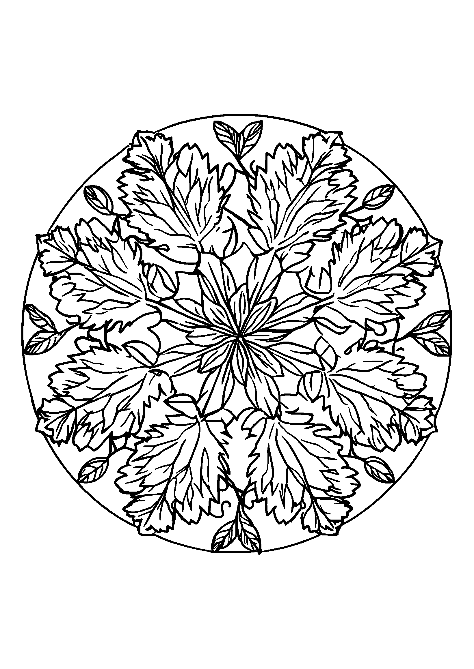 Nature-themed Mandala with Leaves and Vines coloring page