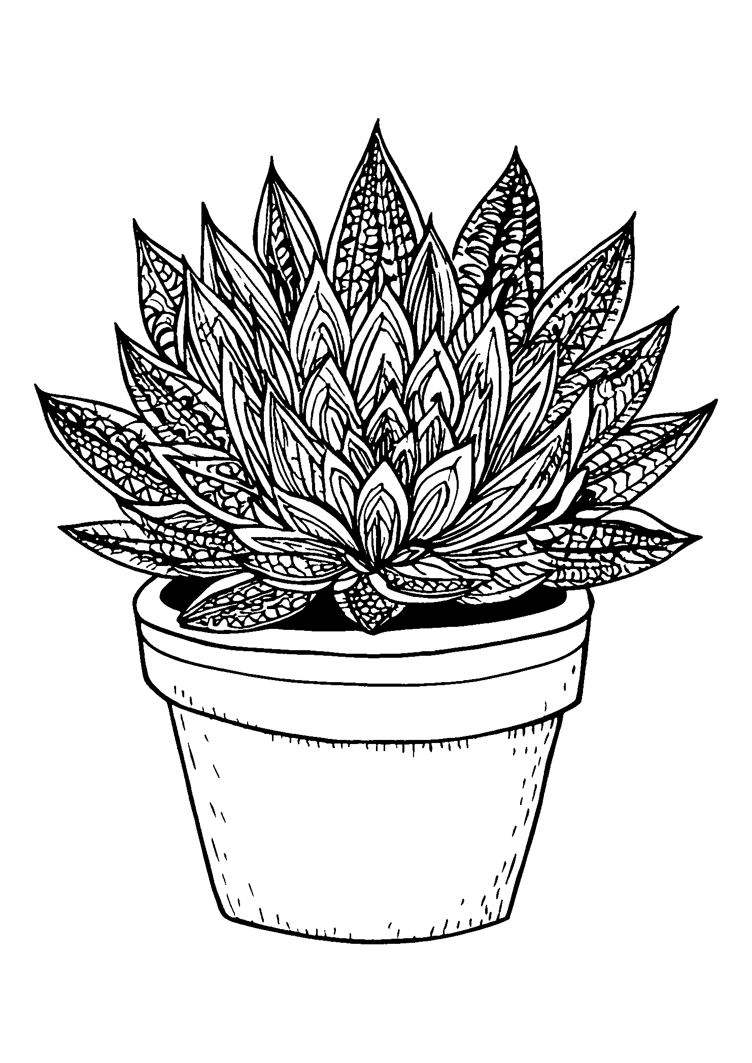 Potted Succulent Arrangement coloring page