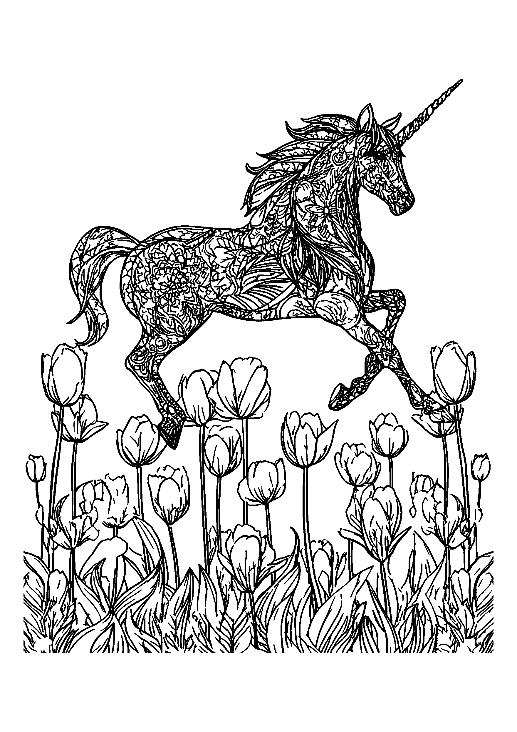 Wildflower Meadow Border Pattern coloring page