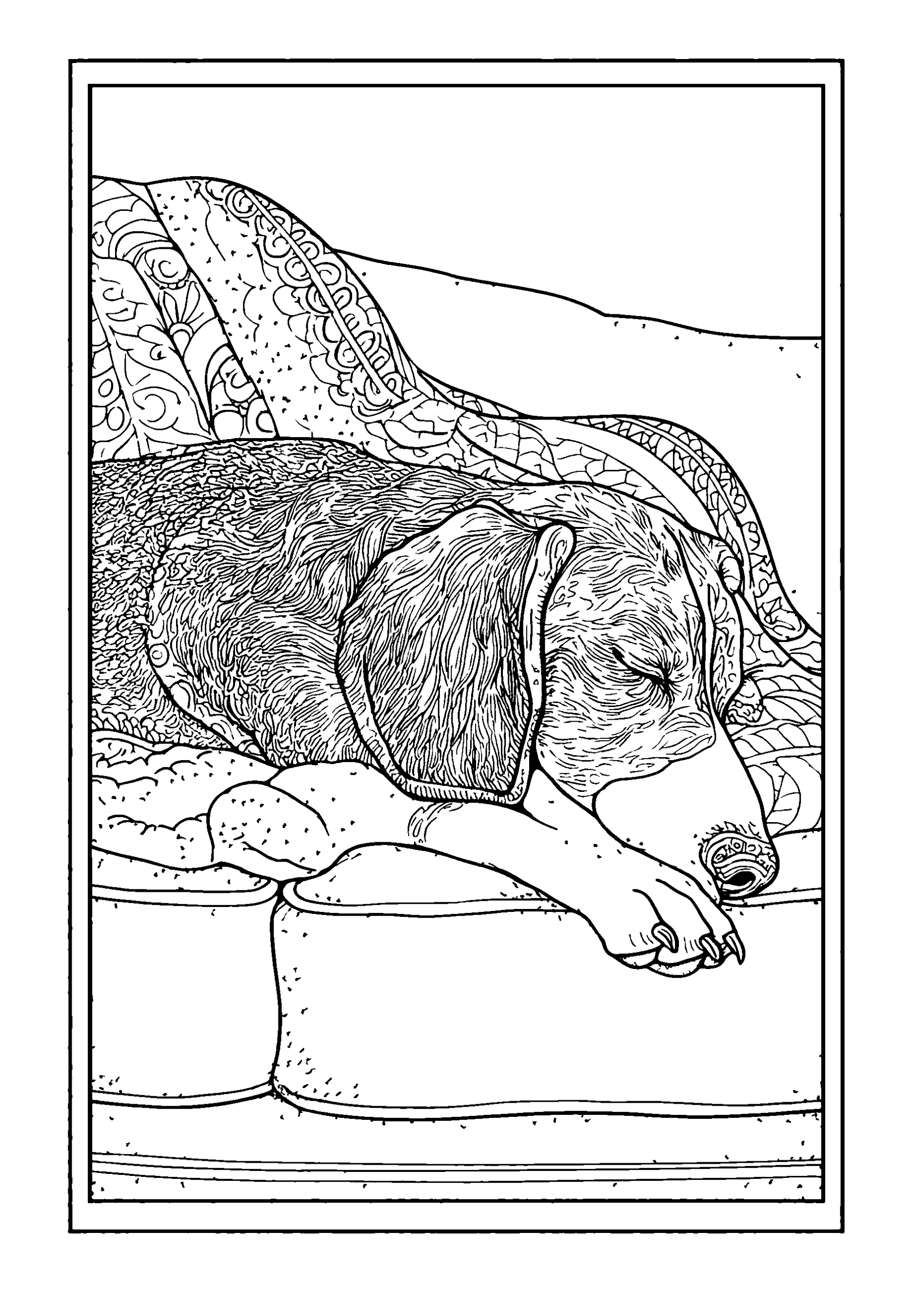 Basset Hound Sleeping on a Couch with a Blanket coloring page