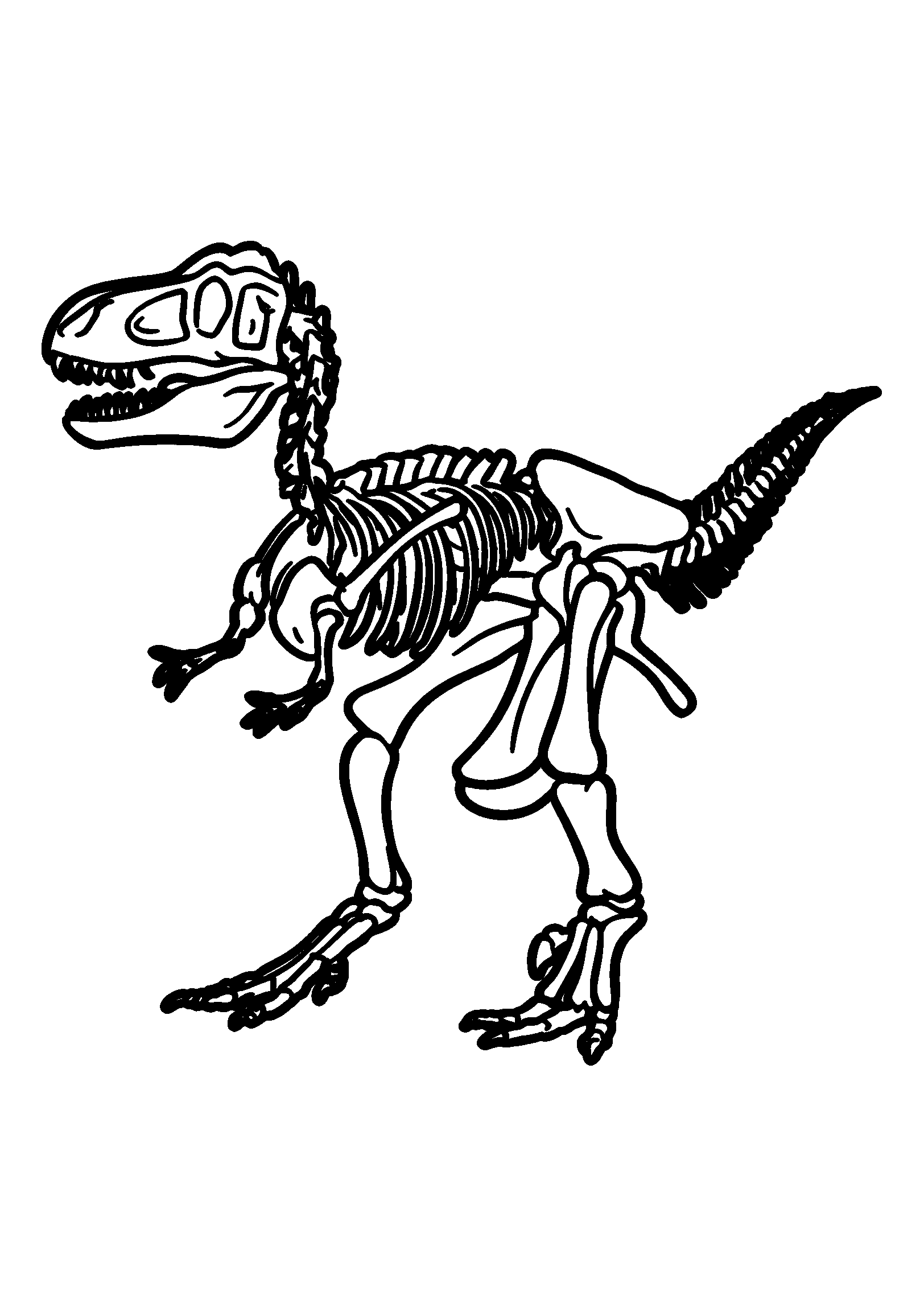 Dinosaur Skeleton Display in a Museum coloring page