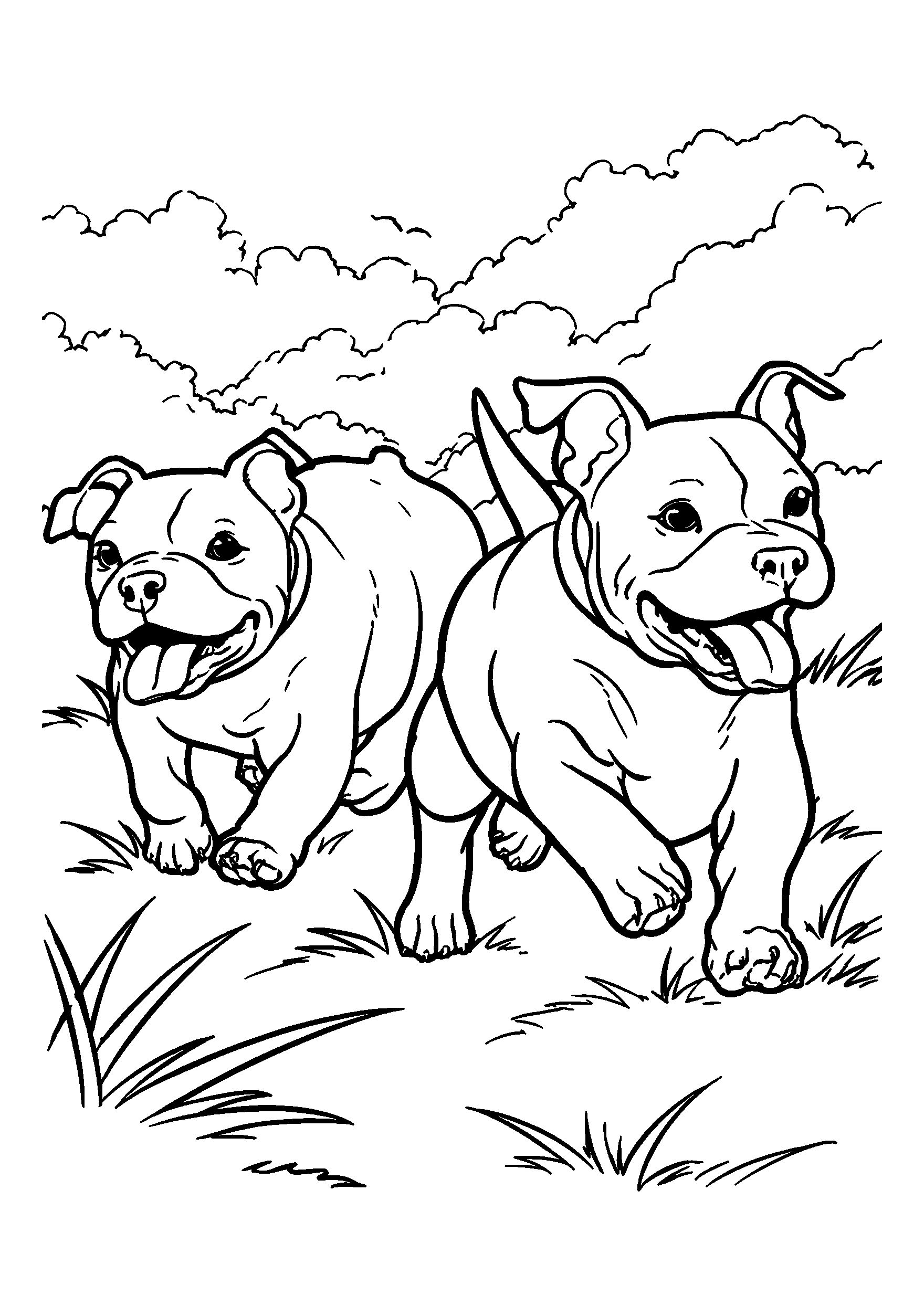 Pitbulls Playing in a Large, Grassy Field coloring page