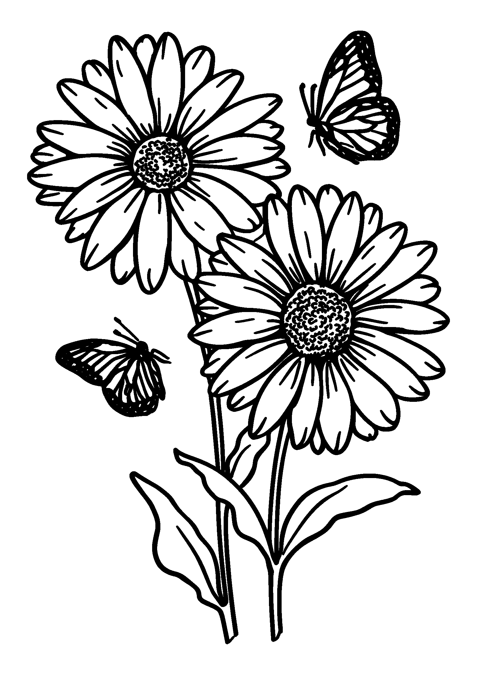 Daisies with Butterflies Fluttering Nearby coloring page