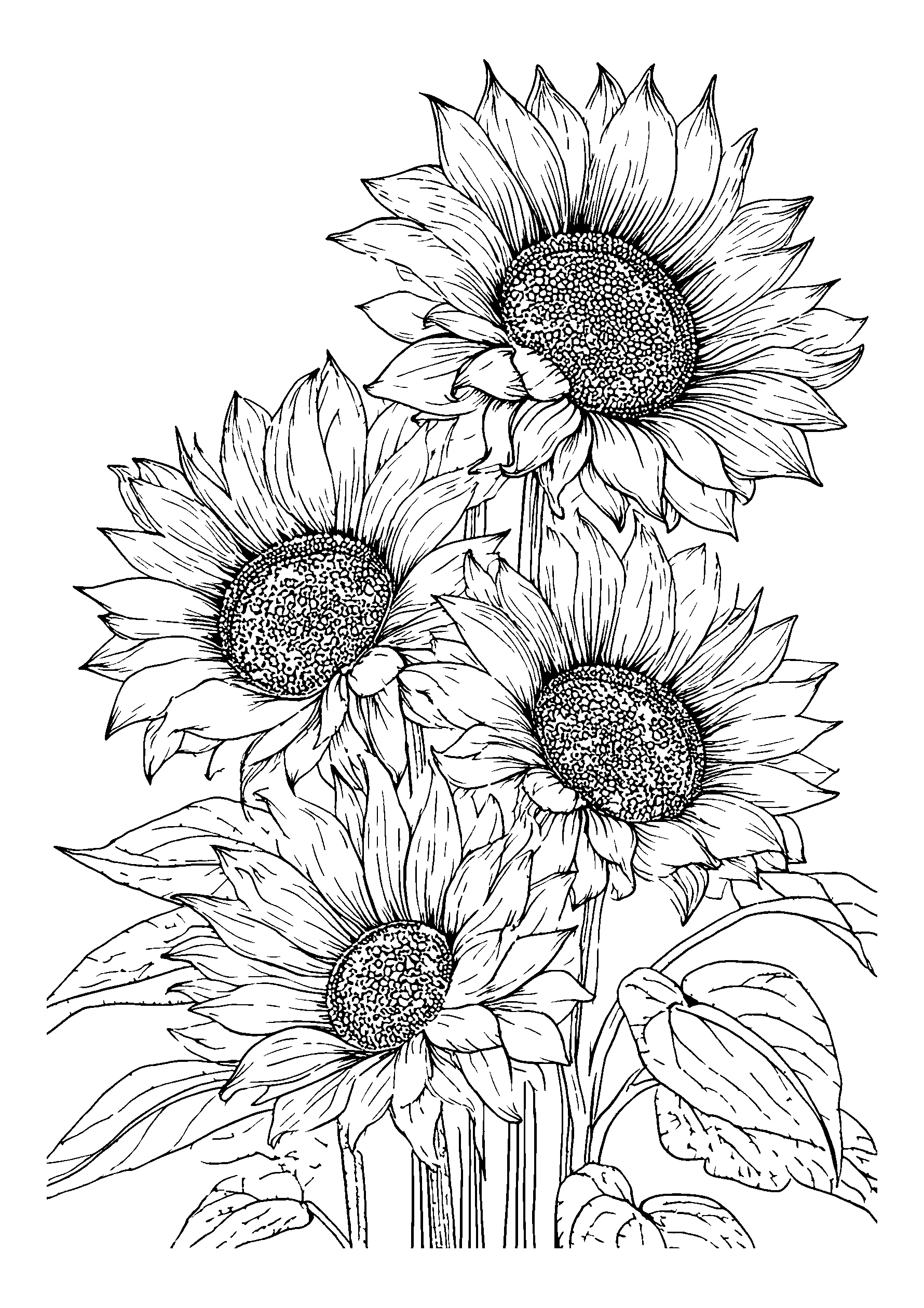 Cluster of Sunflowers Swaying in the Wind coloring page