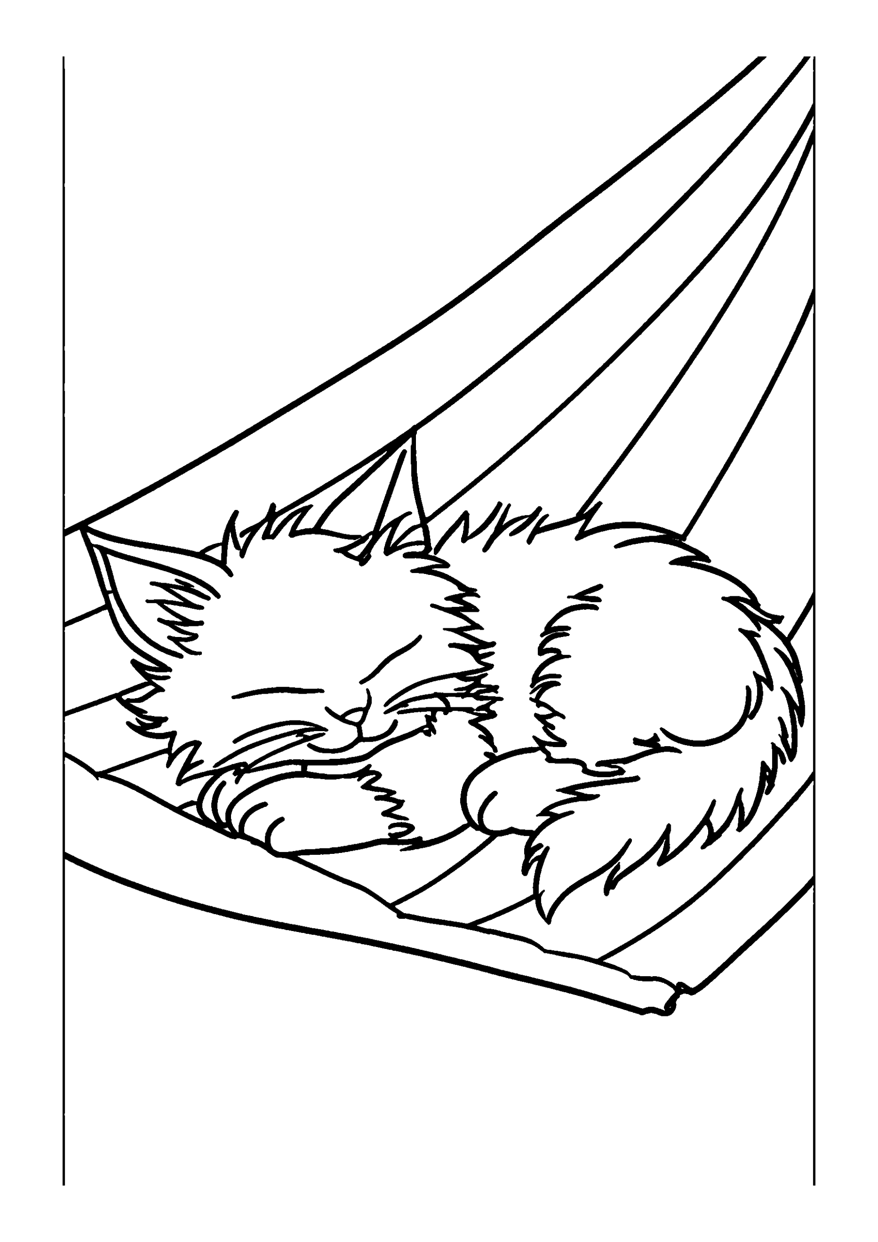 Sleepy Cat Resting in a Hammock on a Warm Afternoon coloring page