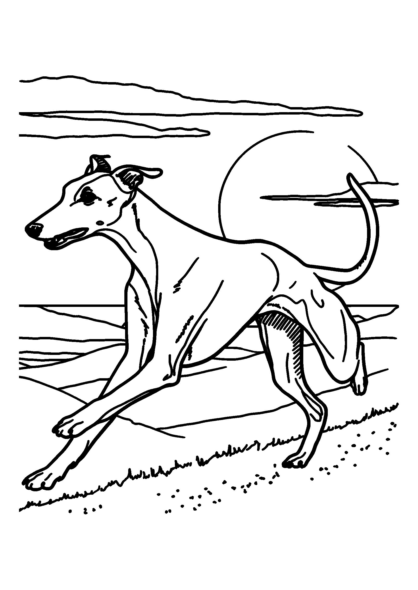 Whippet Sprinting Across a Sandy Beach at Sunset coloring page
