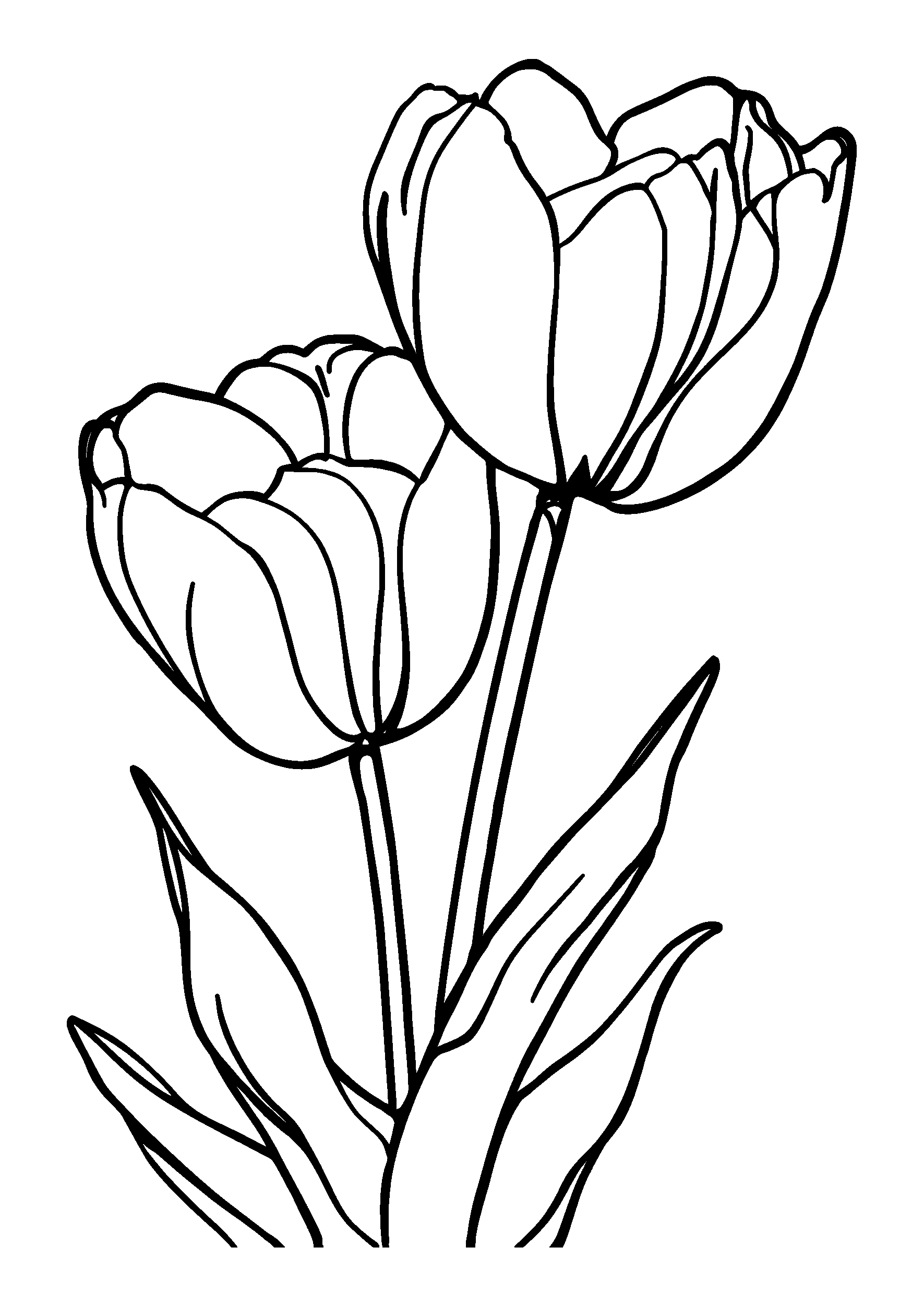 Tulips in a Bright Garden Setting coloring page