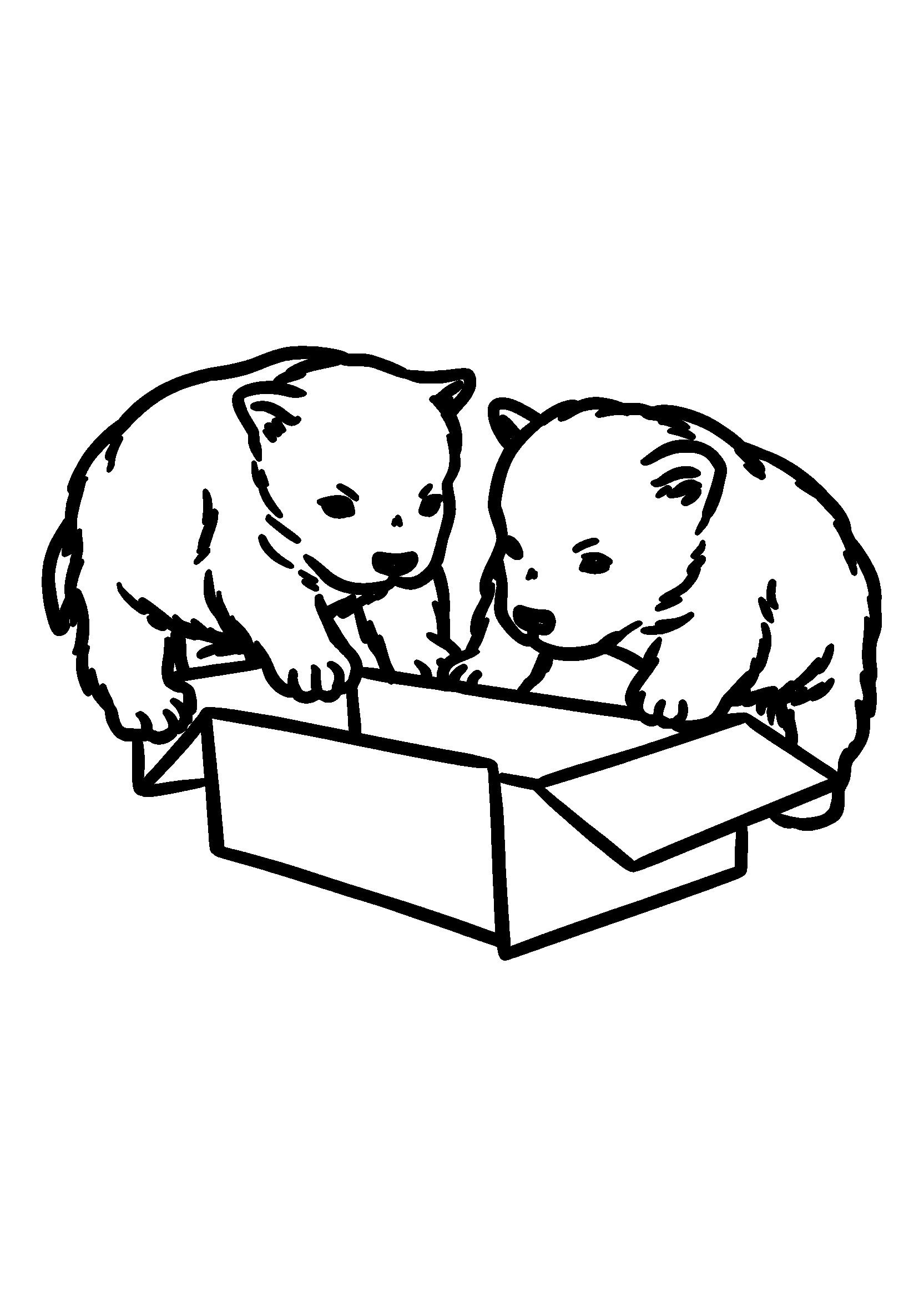 Lively Terriers Investigating a New Cardboard Box coloring page