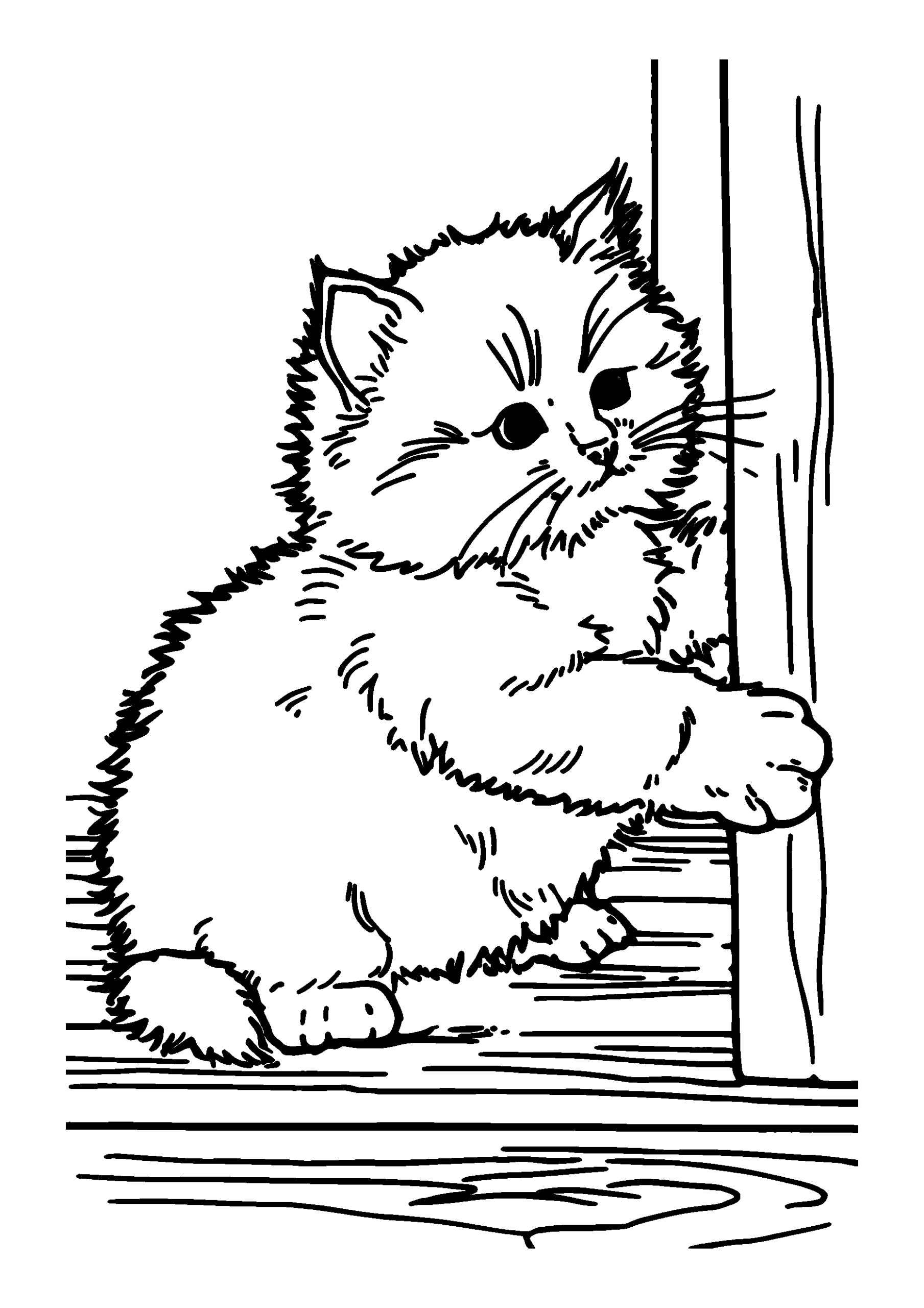 Fluffy Kitten Playing with its Shadow on a Wooden Floor coloring page