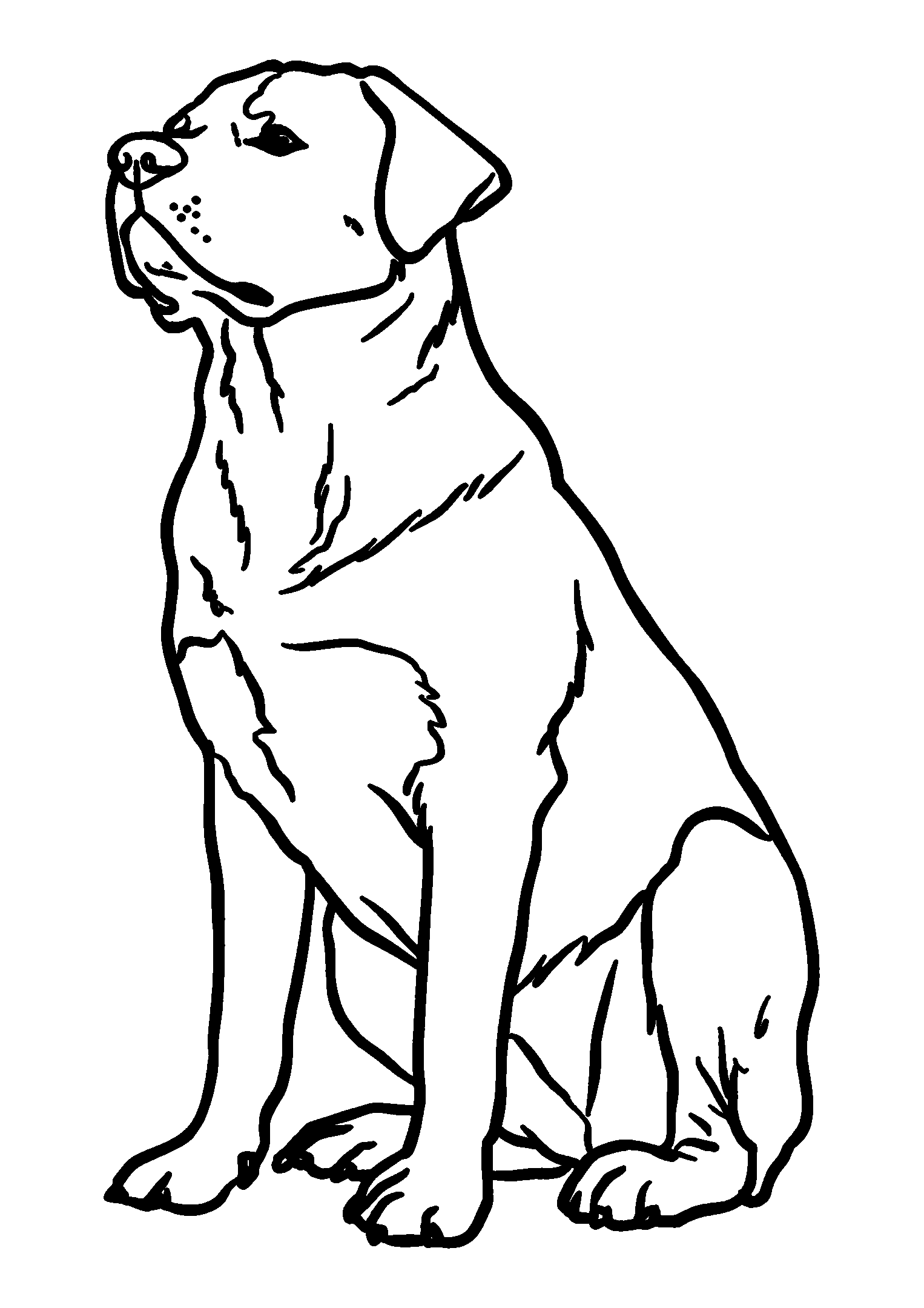 Rottweiler Sitting Proudly beside its Owner in a Park coloring page