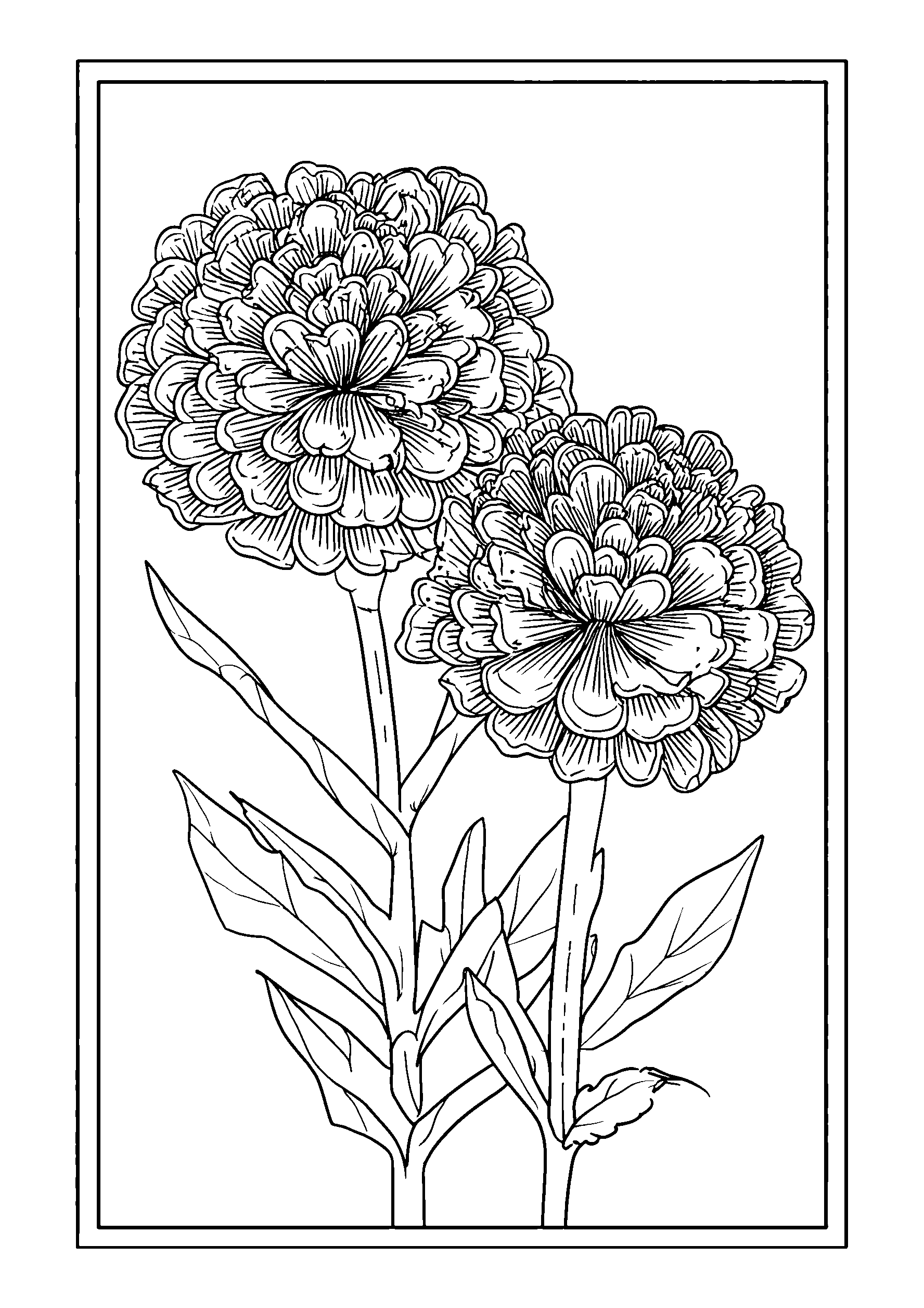 Marigolds beside Garden Gnomes coloring page