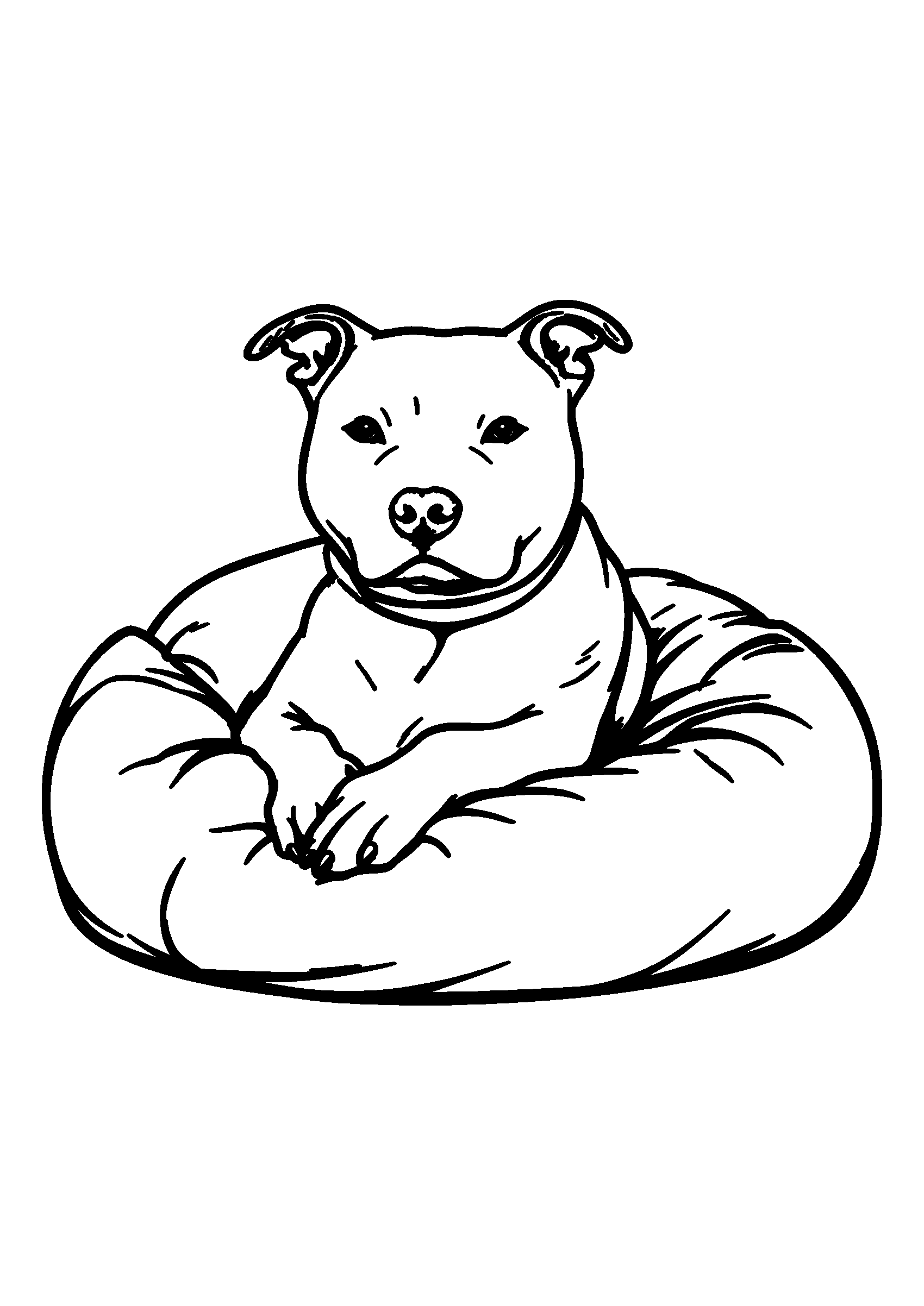 Sassy Pitbull Lounging on a Cozy Dog Bed coloring page