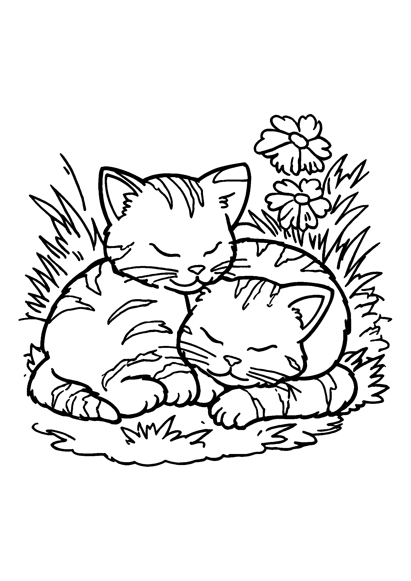 Cats Napping in a Sunlit Patch of Grass coloring page