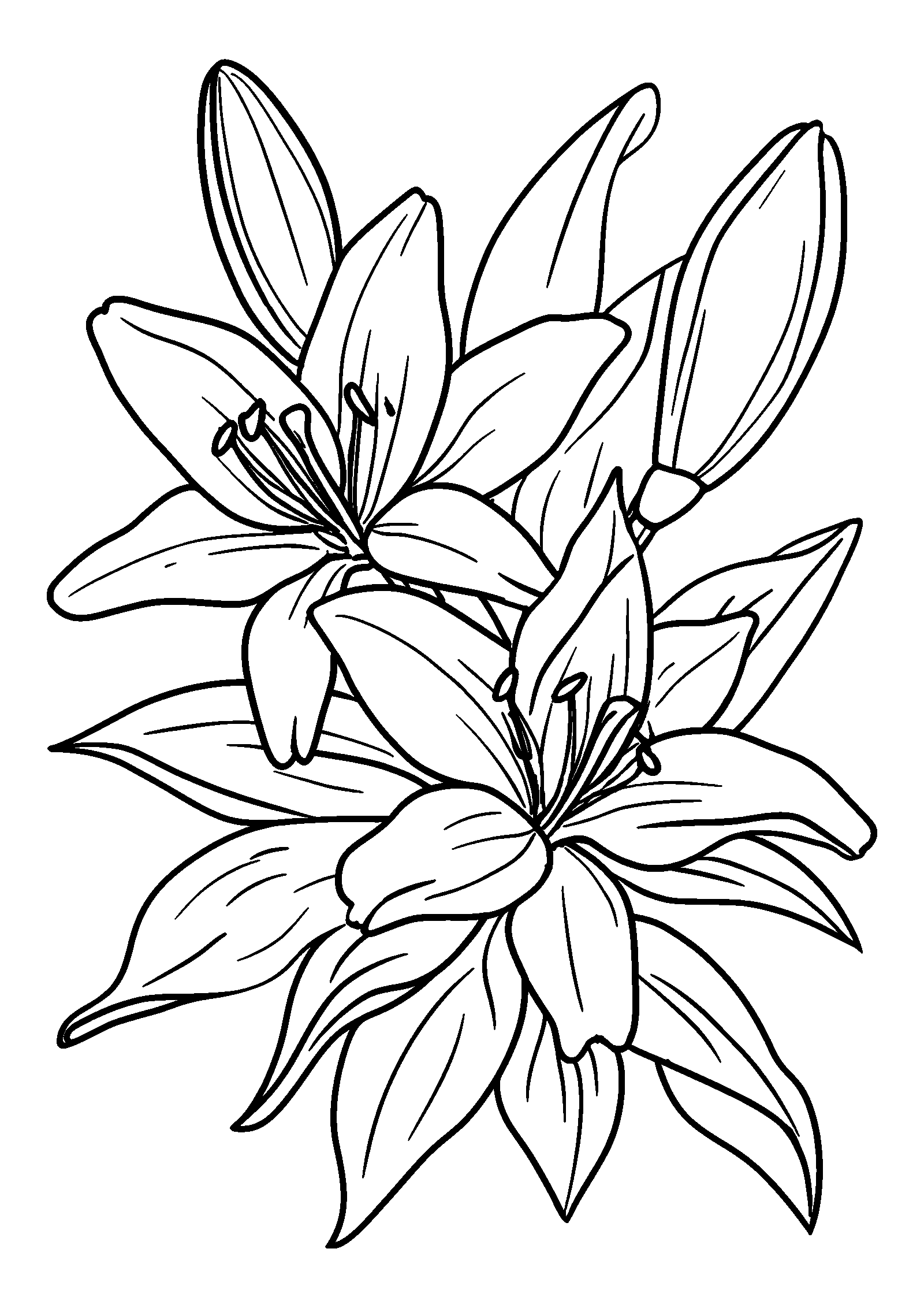 Lilies Surrounded by Lush Green Leaves coloring page