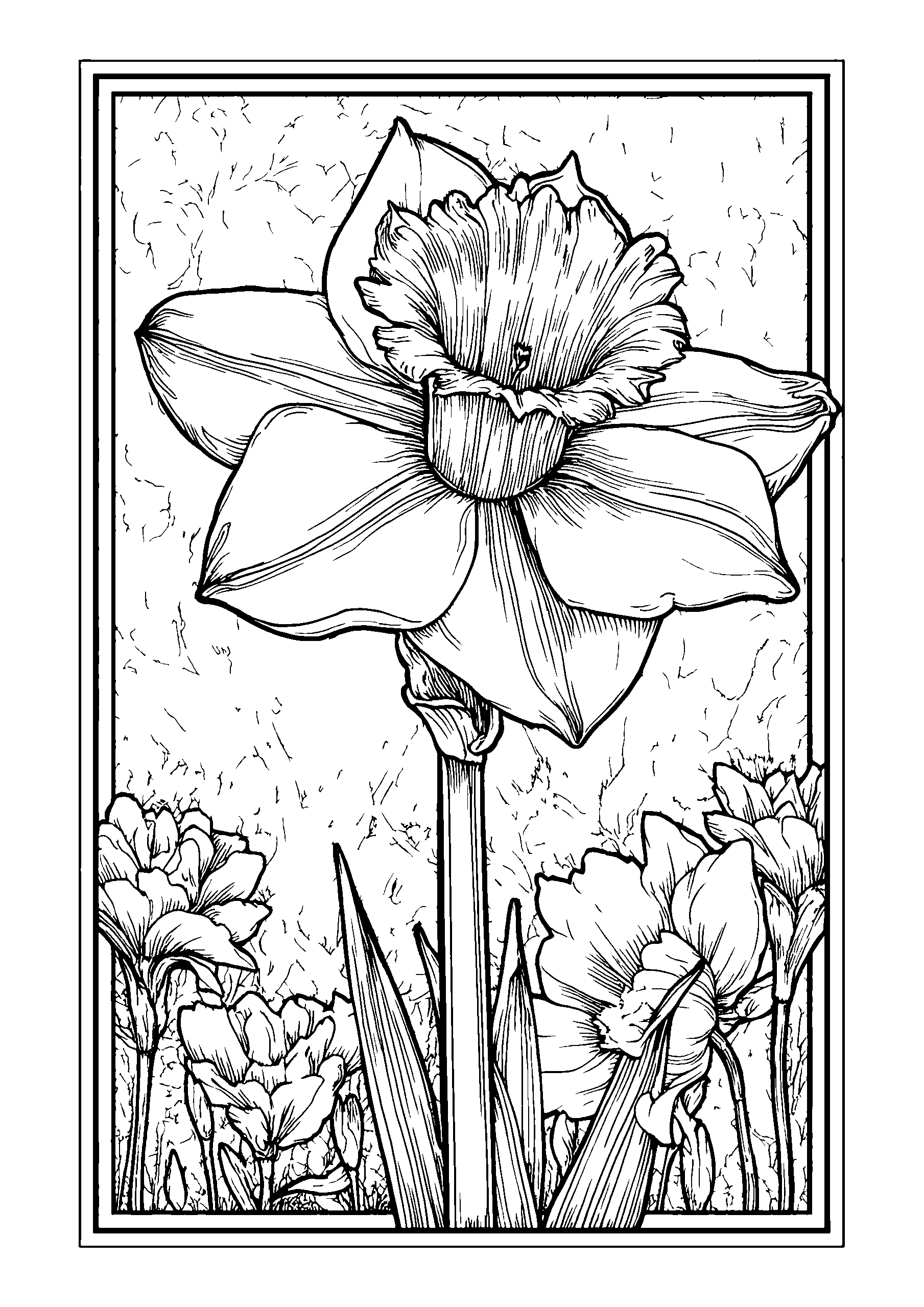 Giant Daffodil Towering over Smaller Blooms coloring page