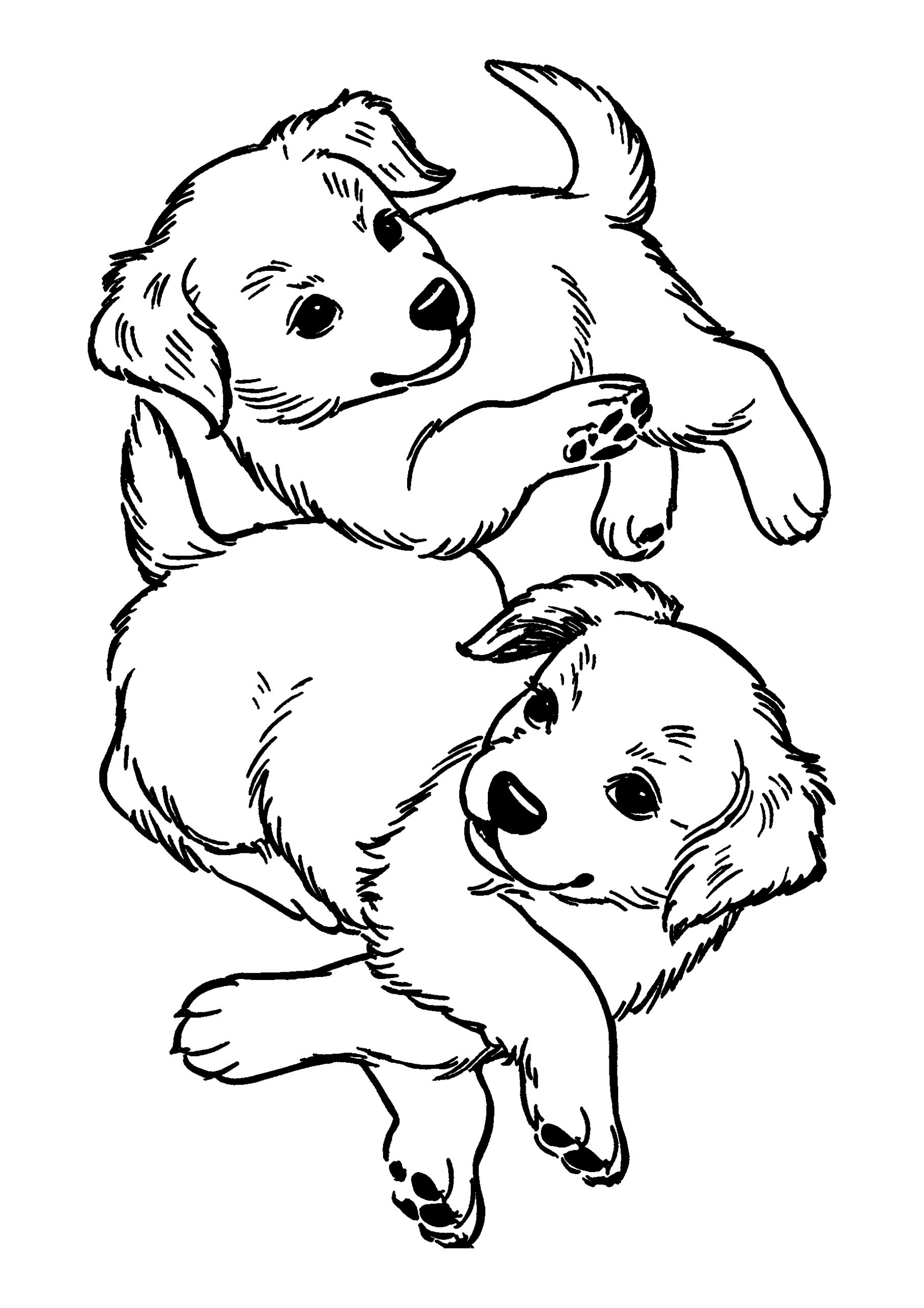 Golden Retriever Puppies Tumbling over Each Other coloring page