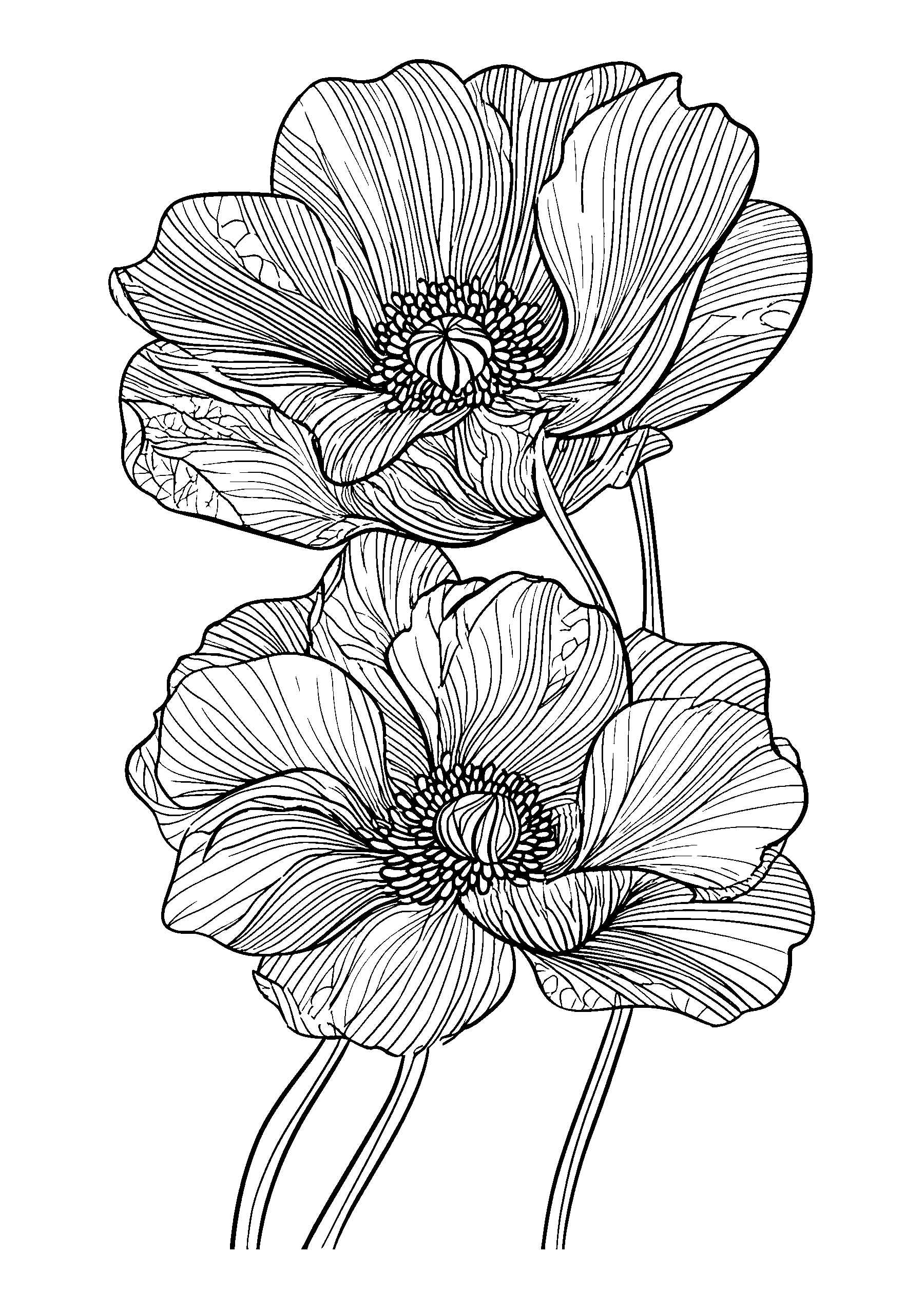 Vibrant Anemones Swaying in the Breeze coloring page
