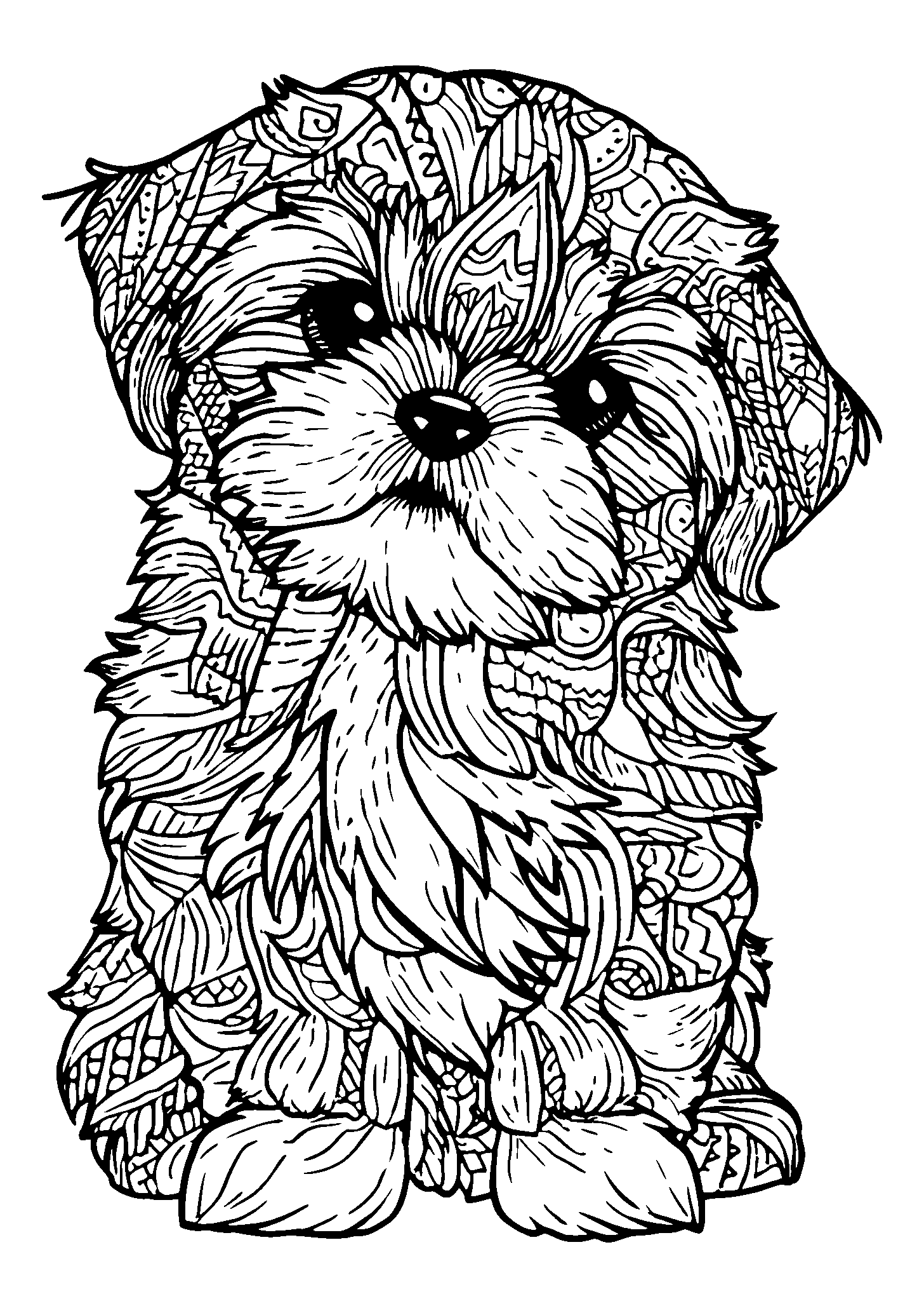 Shih Tzu Grooming Itself with a Puzzled Expression coloring page