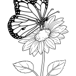 Colorful Butterfly Perched on a Sunflower coloring page