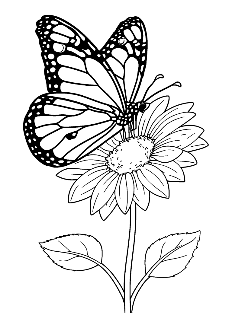 Colorful Butterfly Perched on a Sunflower coloring page