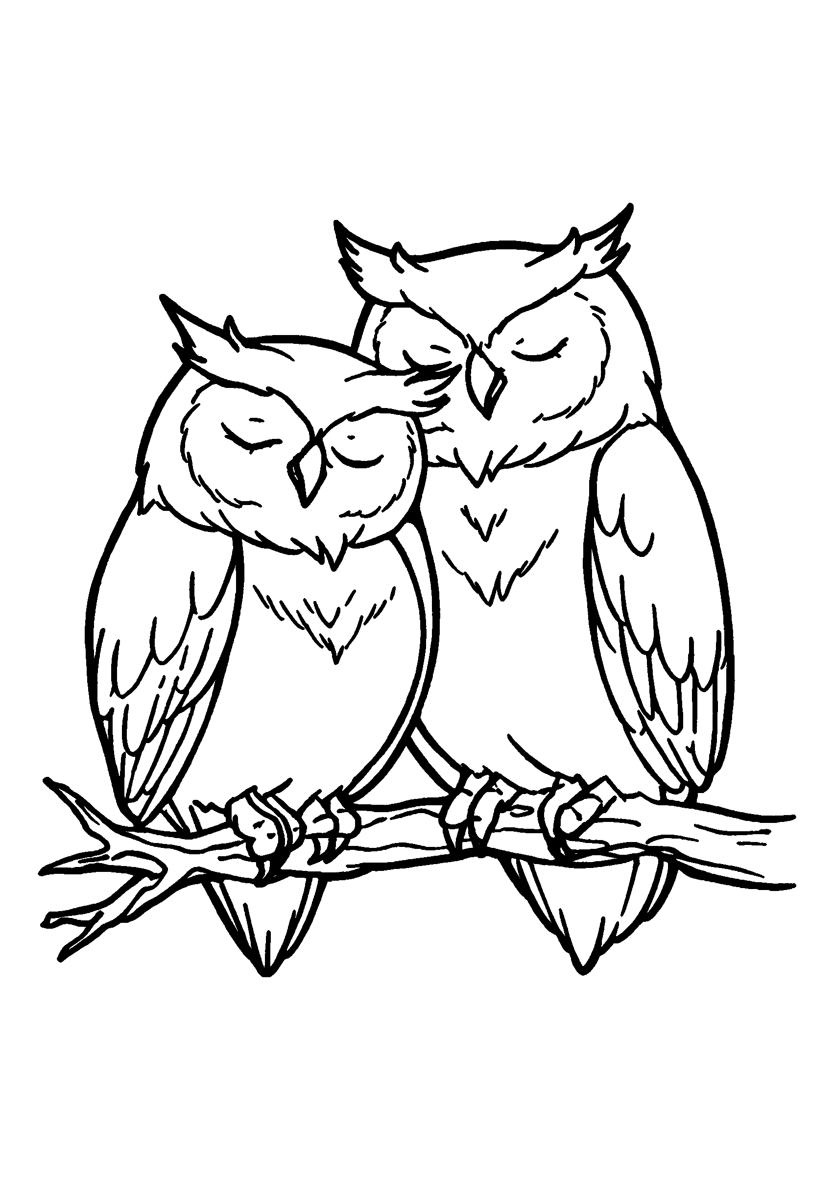 Owls Tucked Together on a Branch at Night coloring page