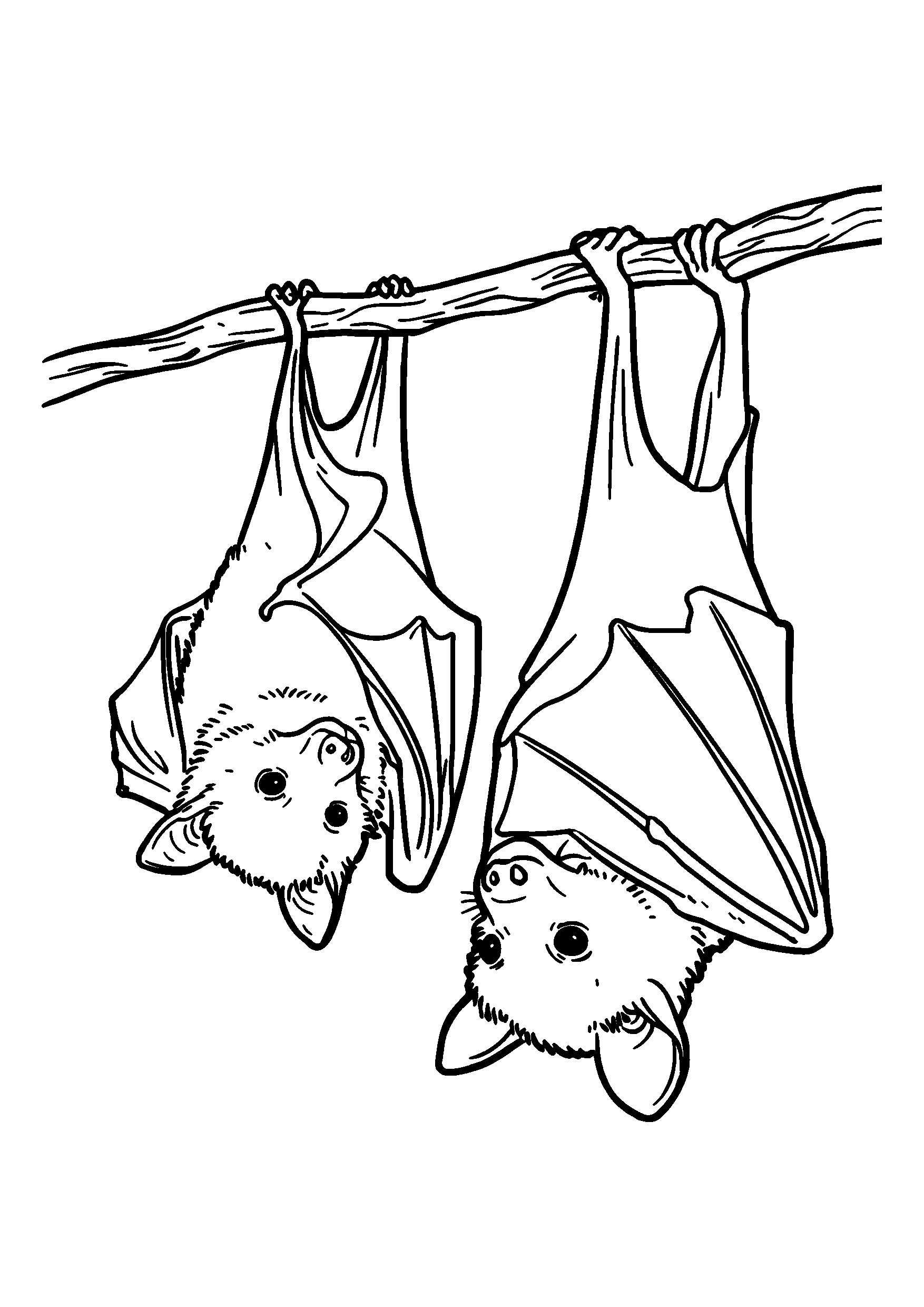Playful Bats Hanging Upside Down from a Branch coloring page