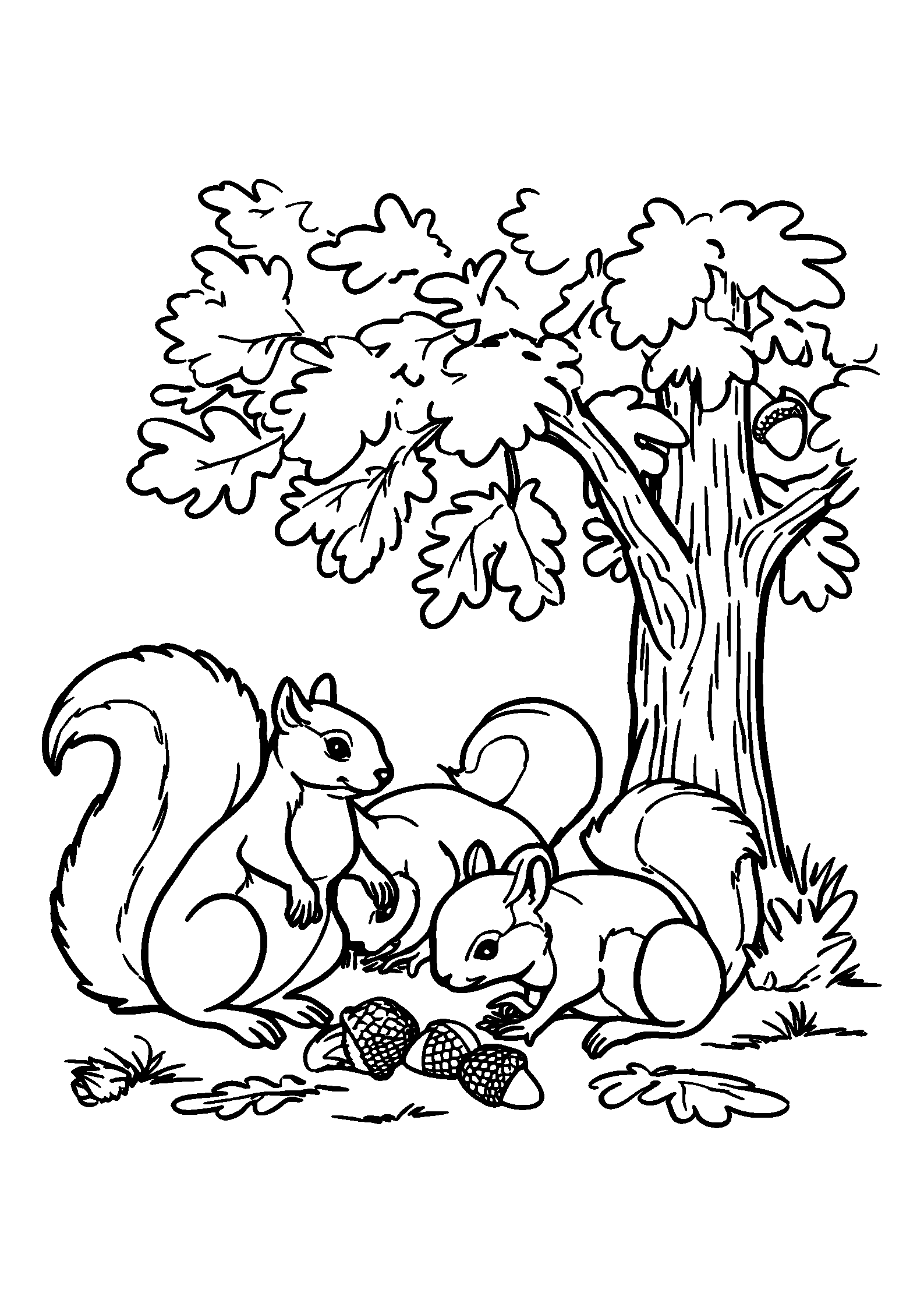 Family of Squirrels Gathering Acorns under an Oak Tree coloring page