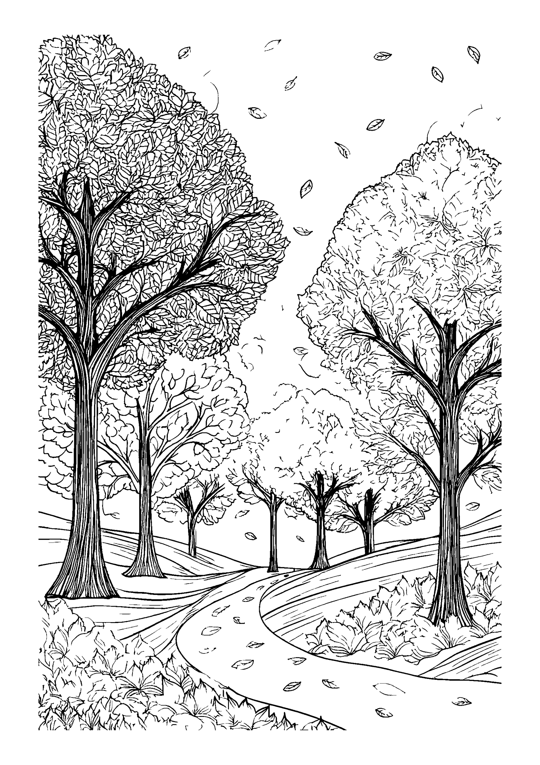 Beautiful Autumn Landscape with Falling Leaves and a Winding Path coloring page