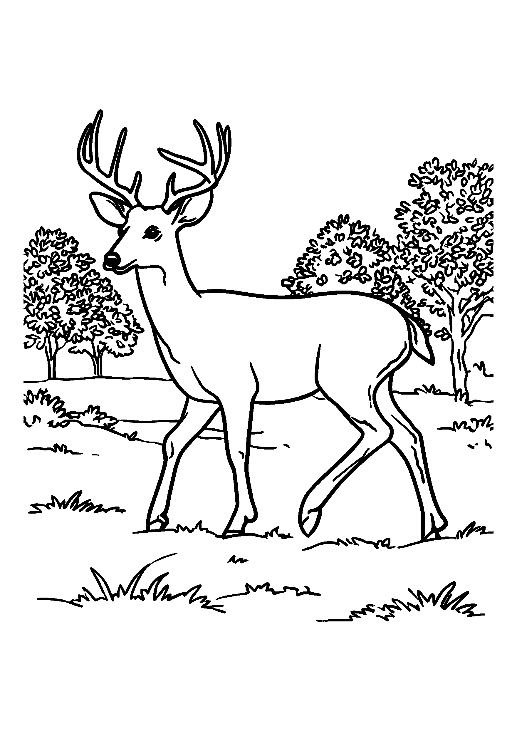 Wandering Deer in a Clearing with Golden Foliage coloring page