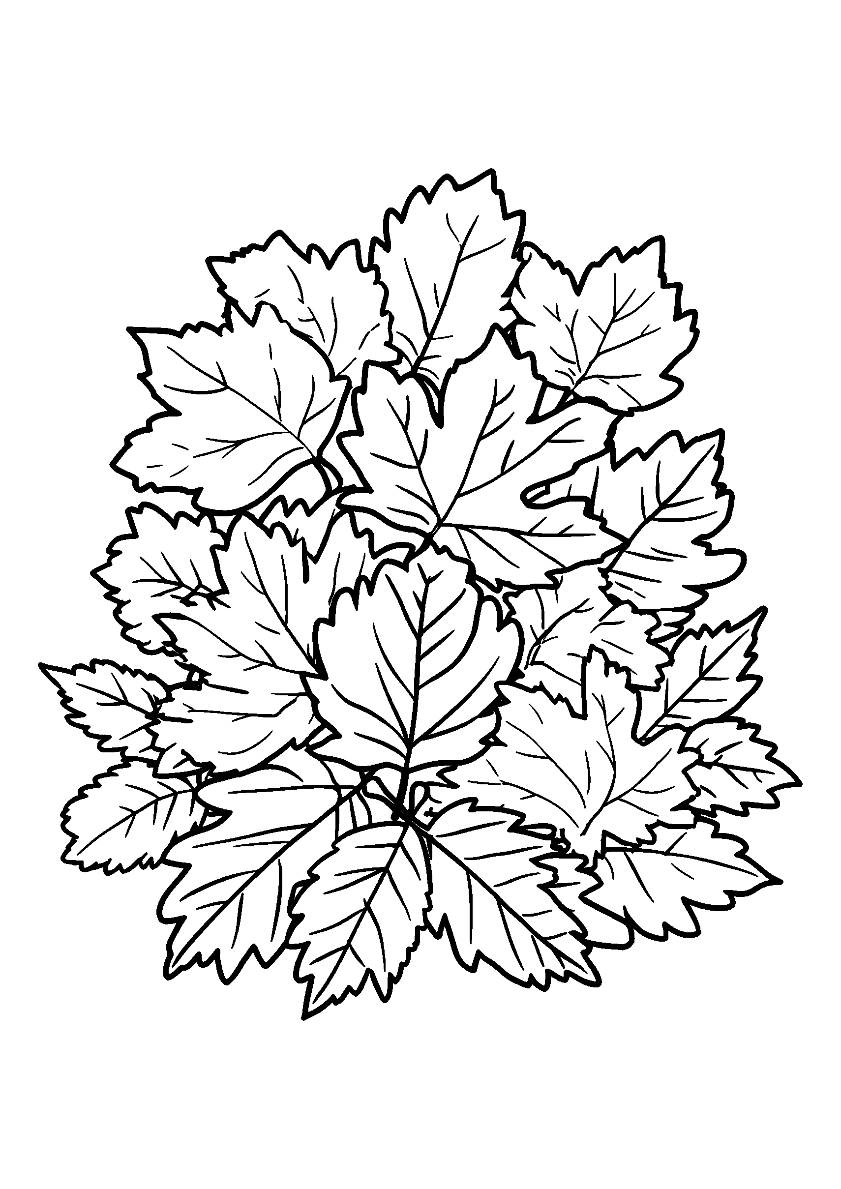 Collection of Autumn Leaves in a Pile coloring page