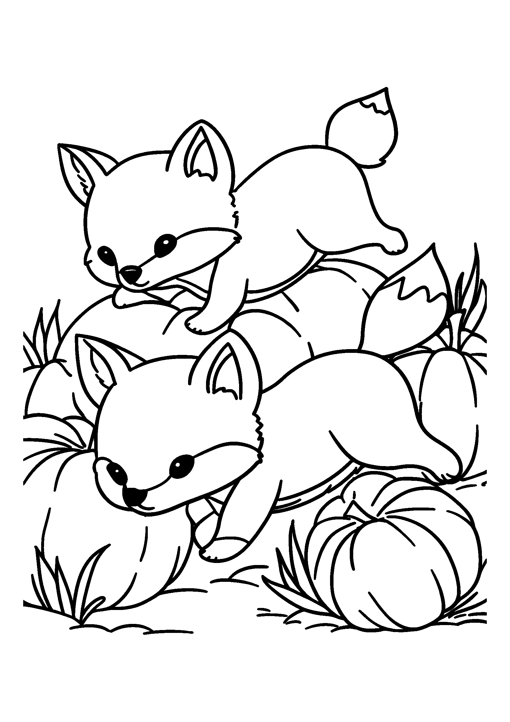 Playful Foxes Chasing Each Other Through a Pumpkin Patch coloring page
