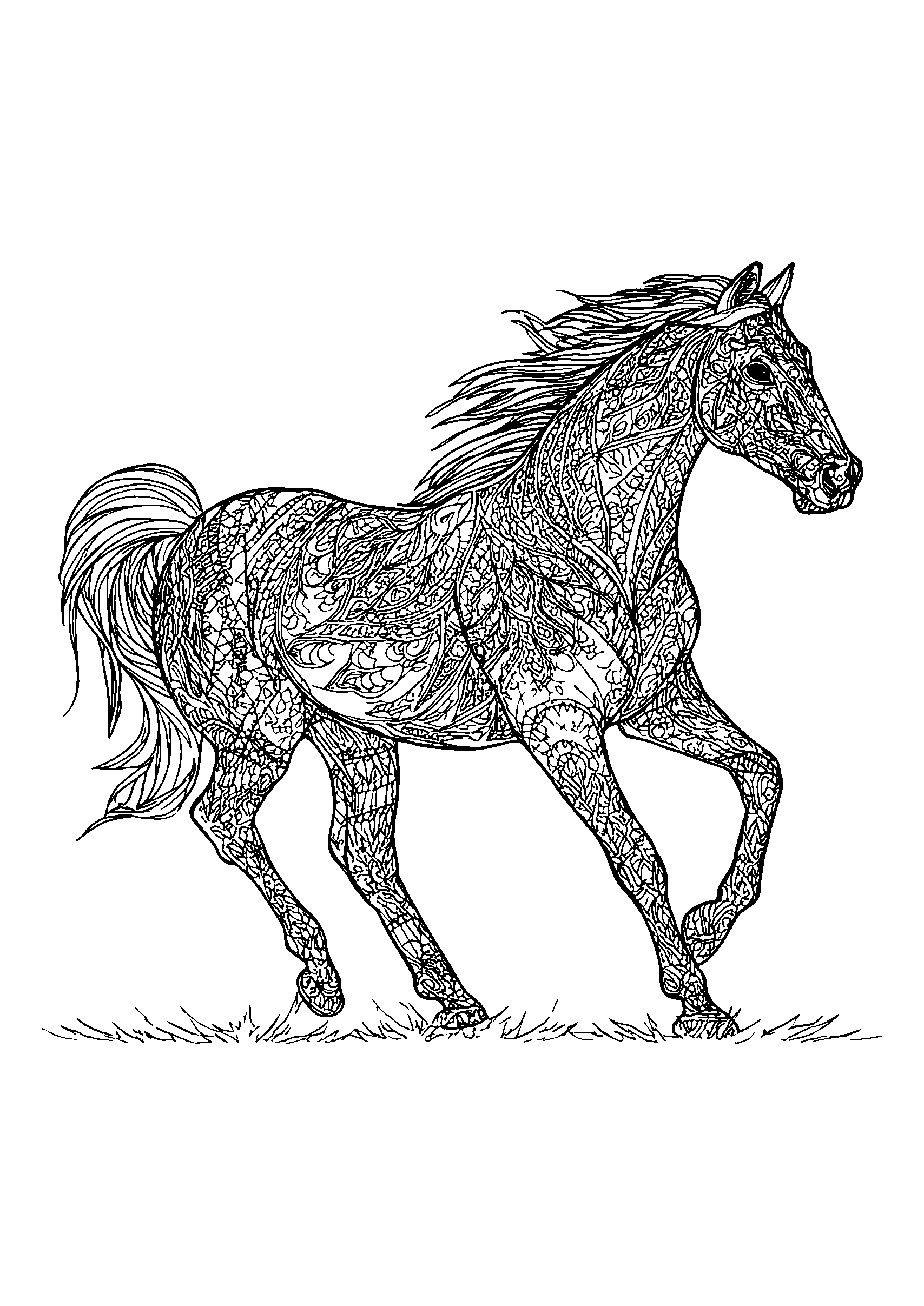 Horse Galloping Freely in an Open Field coloring page