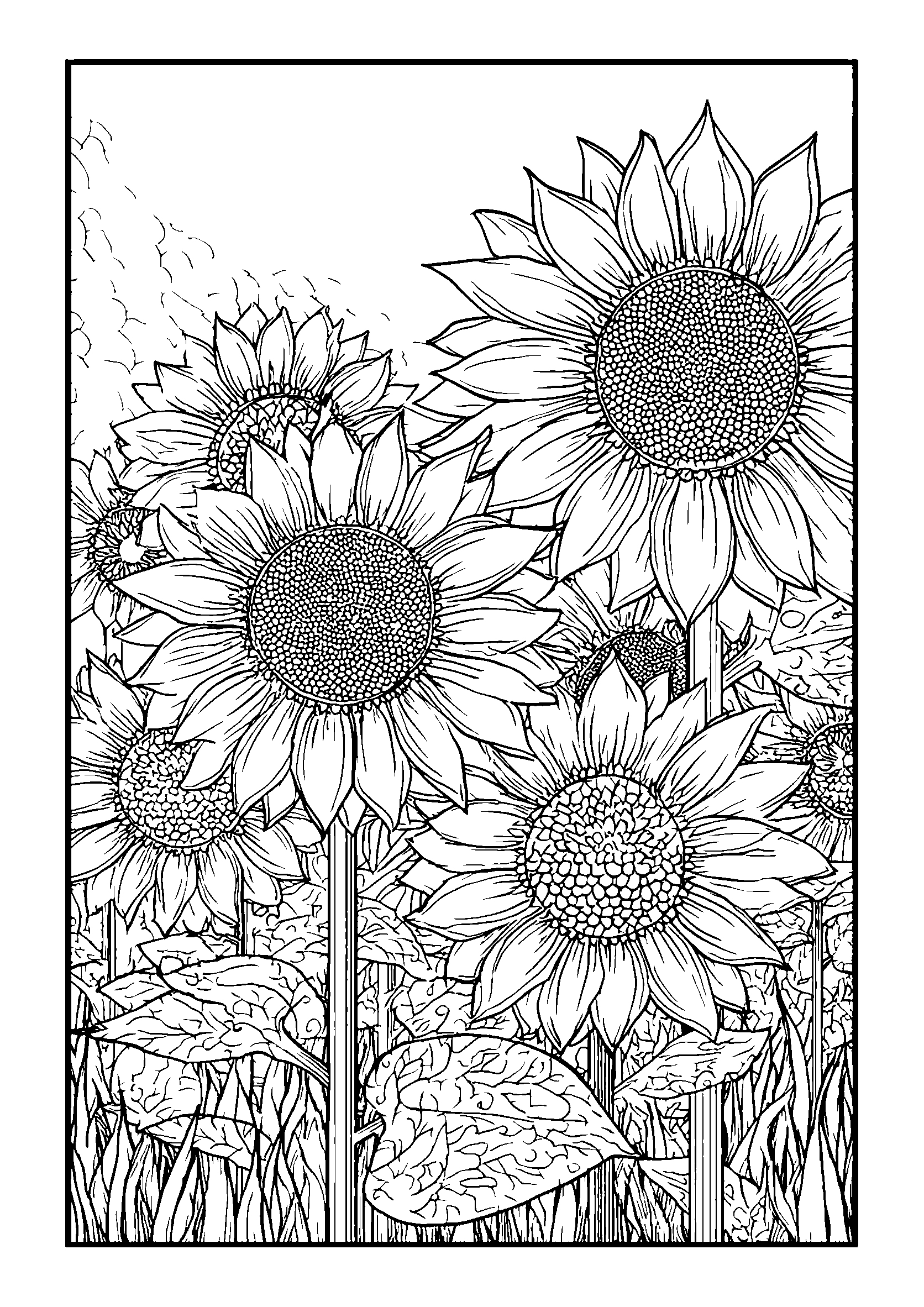 Sunflower Field Glowing in the Autumn Sun coloring page
