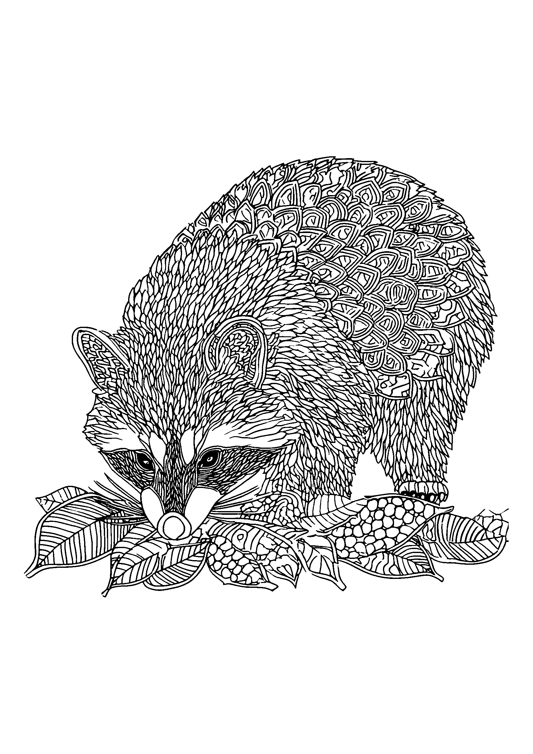 Raccoon Rummaging Through Fallen Leaves coloring page