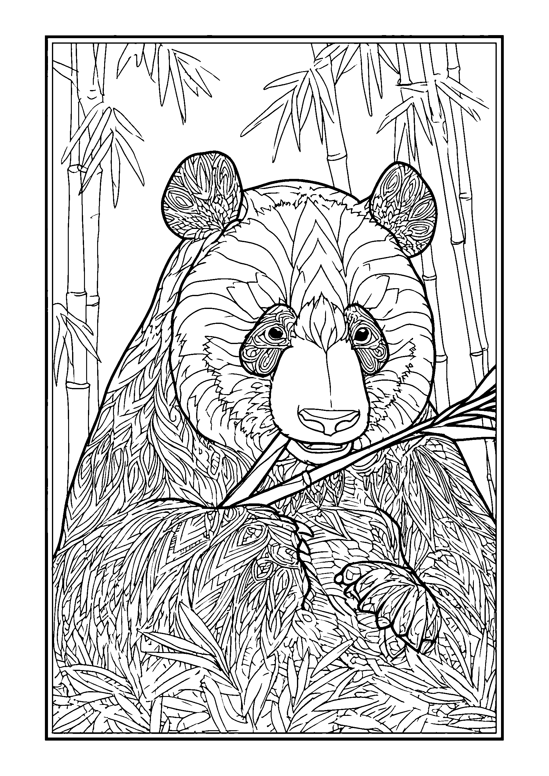Chubby Panda Eating Bamboo in a Bamboo Forest coloring page
