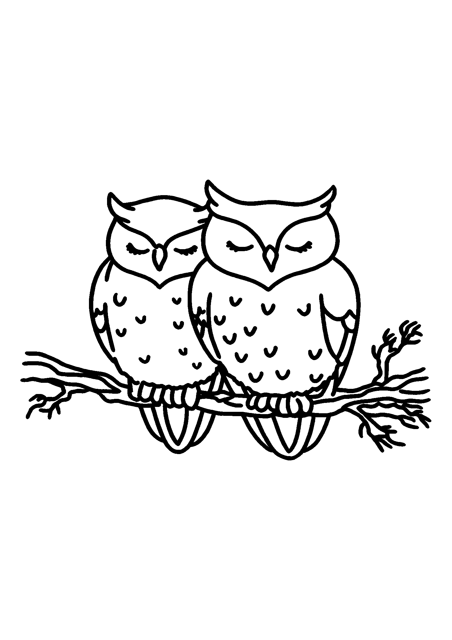 Owls Nestled Together on a Tree Branch at Twilight coloring page