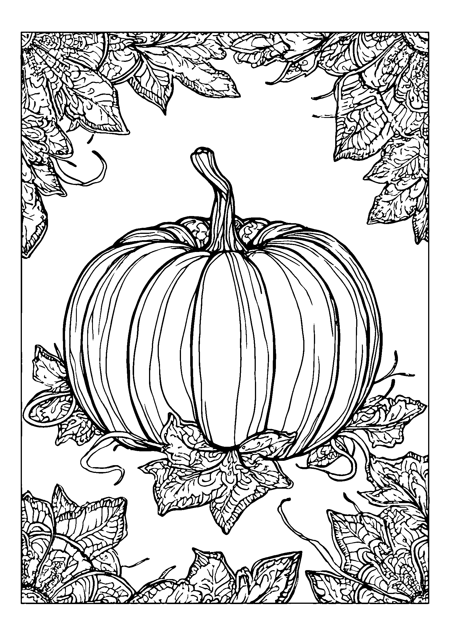 Pumpkin Patch with Vines and Fallen Leaves coloring page