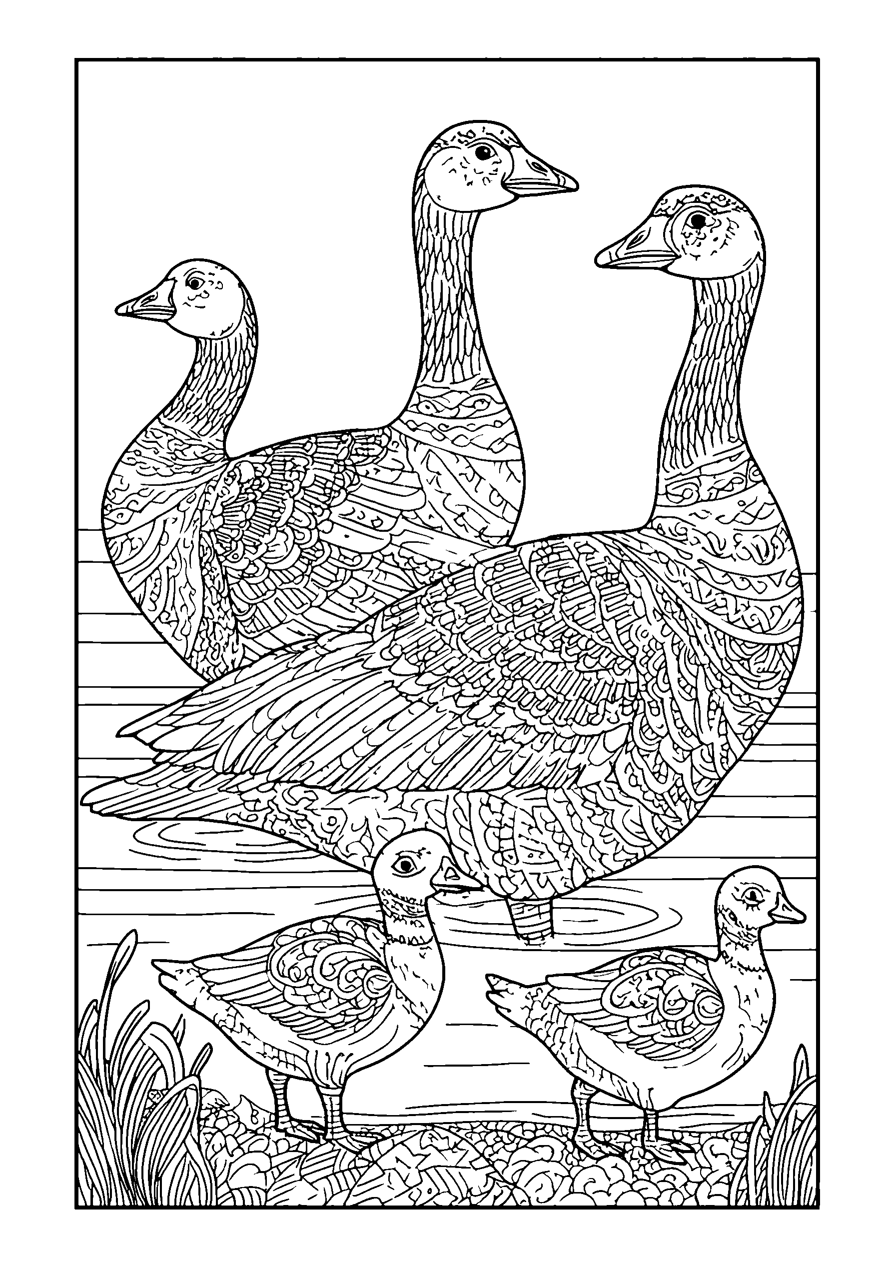 Family of Geese Waddling Near a Pond coloring page