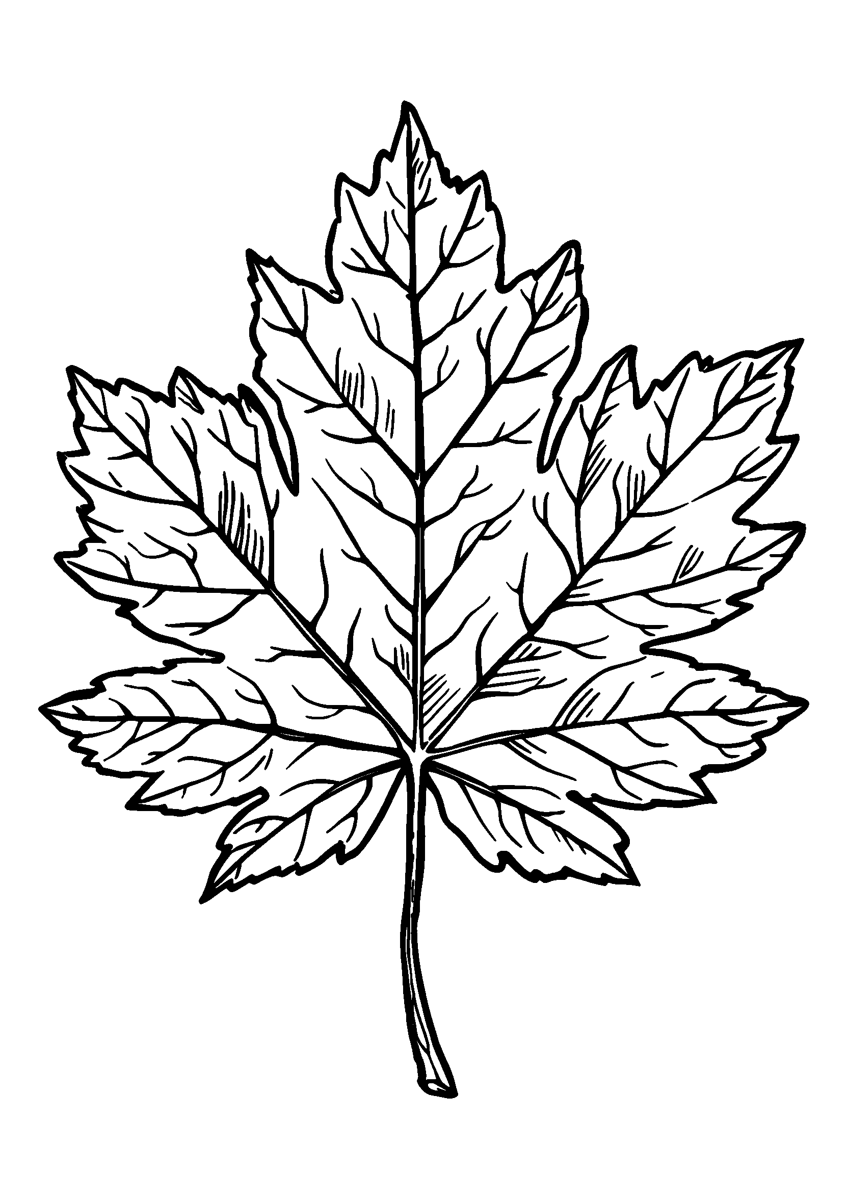 Detailed Close-up of a Maple Leaf's Veins coloring page