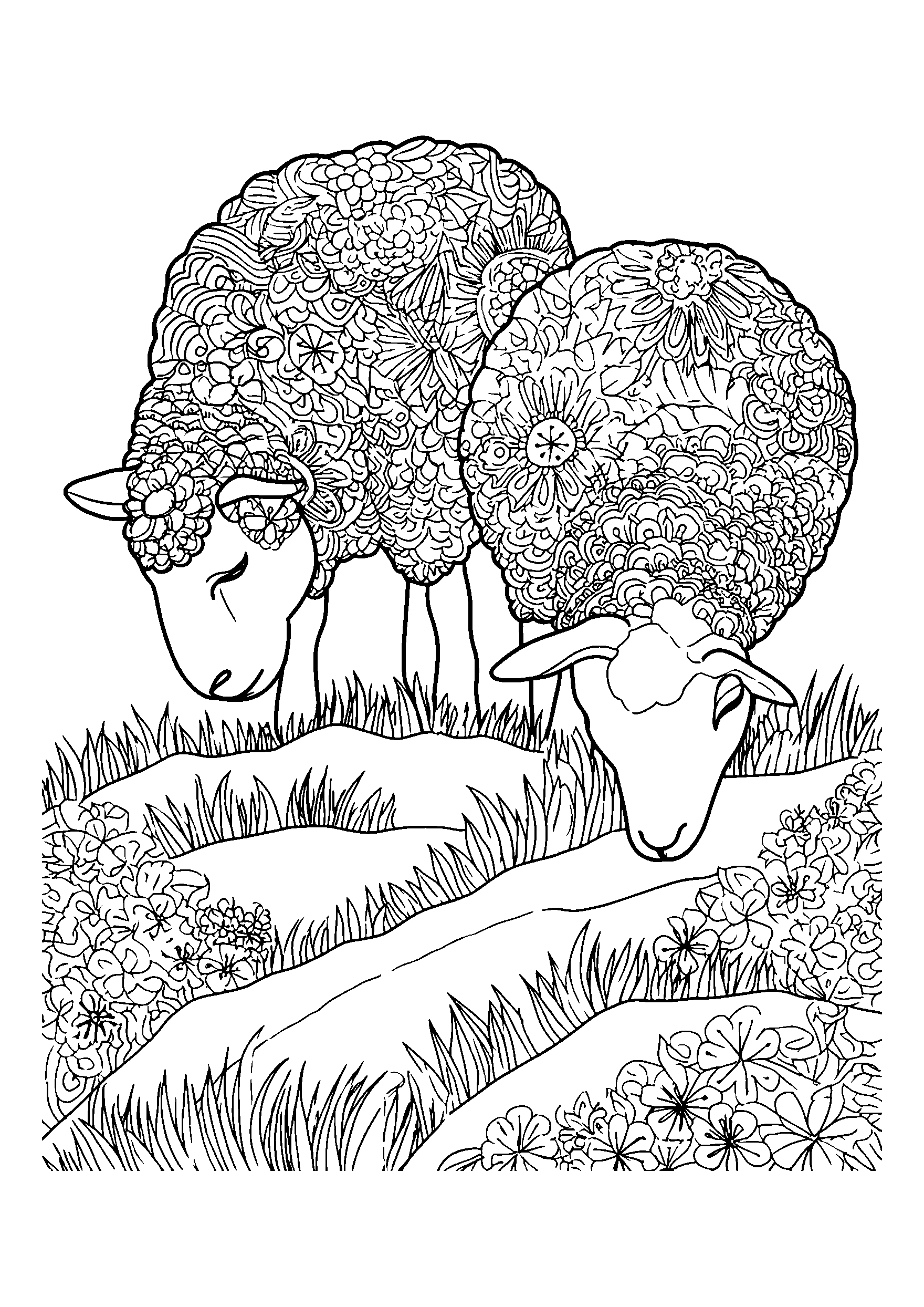 Sheep Grazing Peacefully on a Hillside coloring page