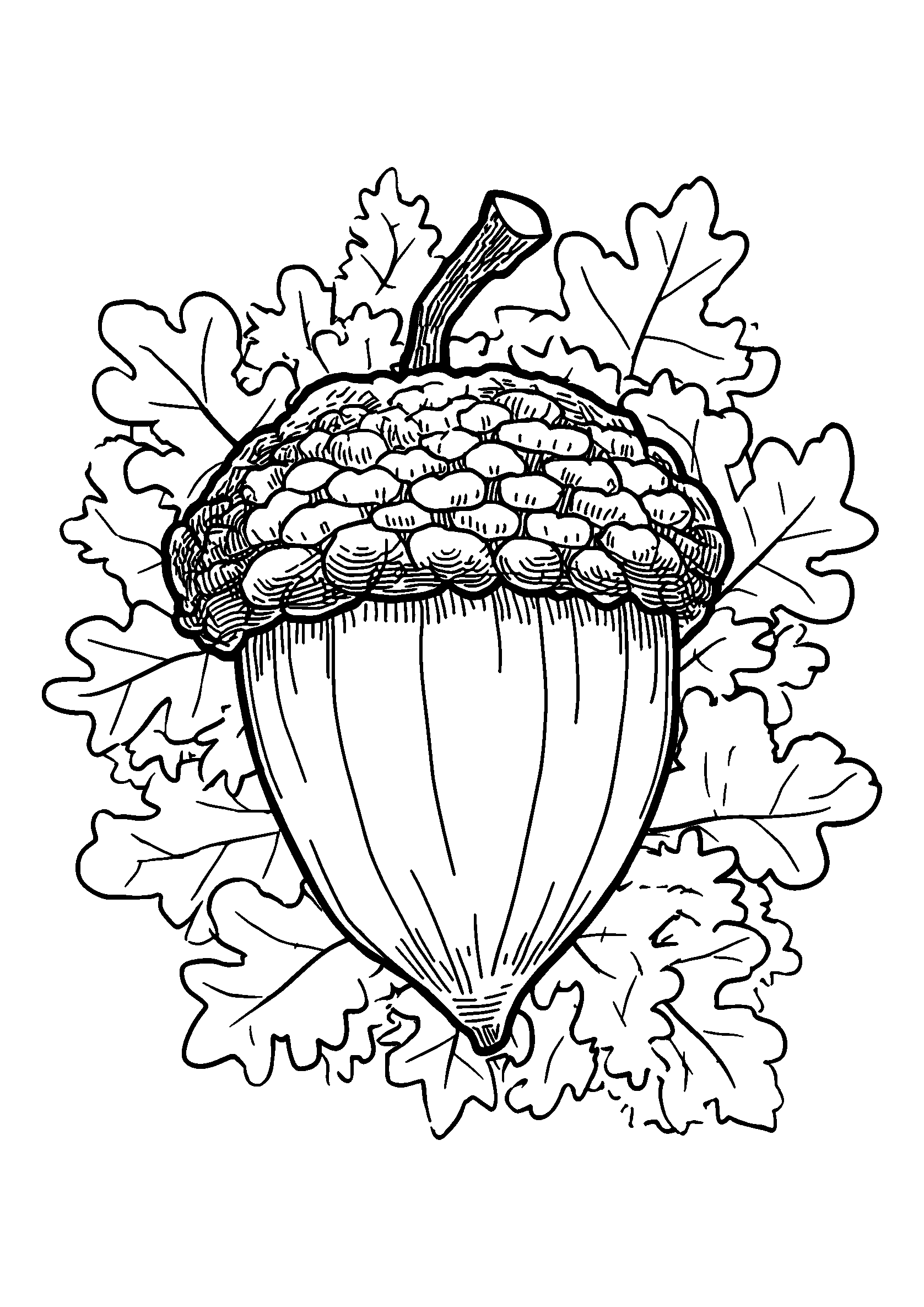 Detailed Acorn Nestled in a Bed of Moss coloring page