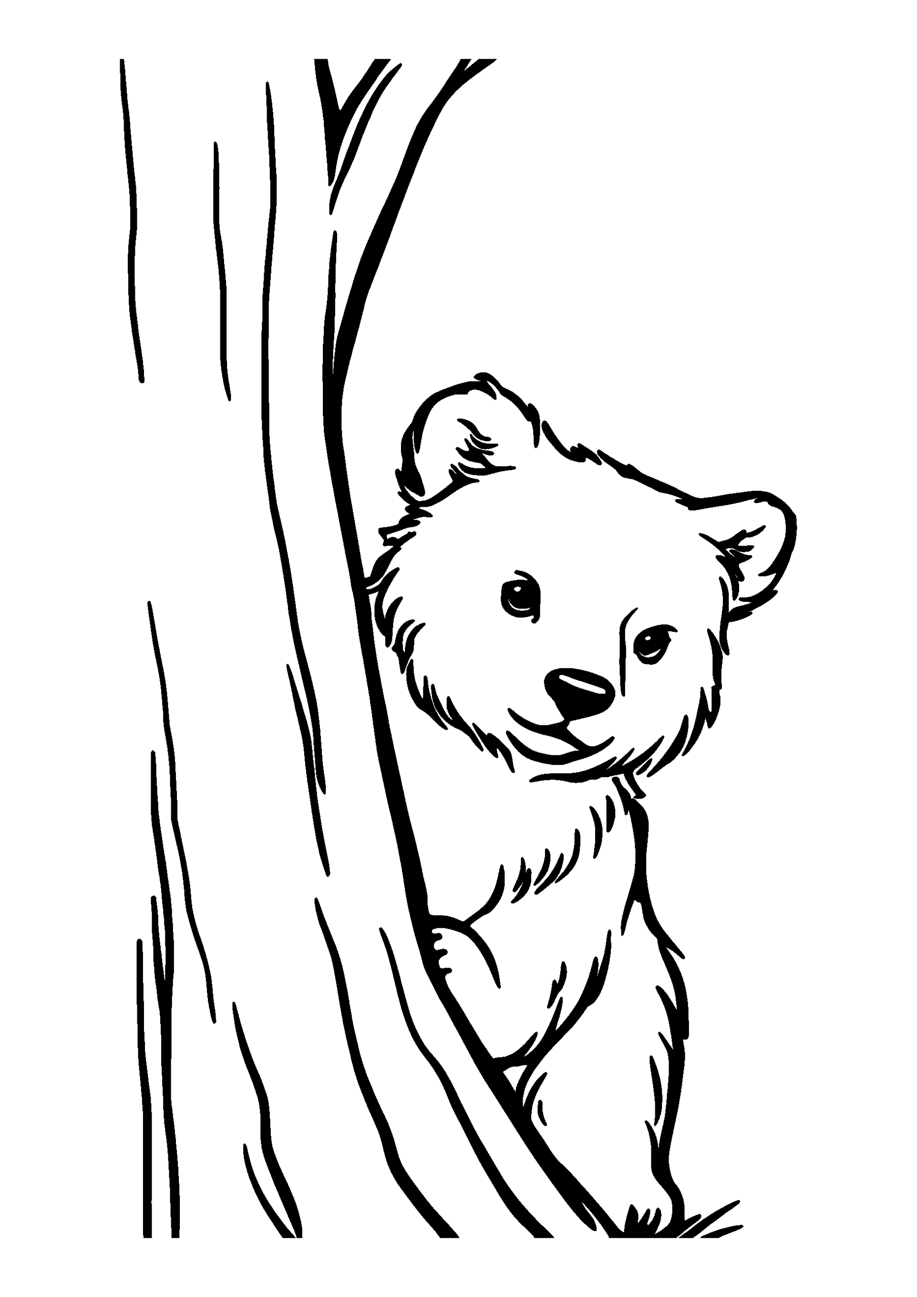 Curious Bear Peeking out from Behind a Tree coloring page