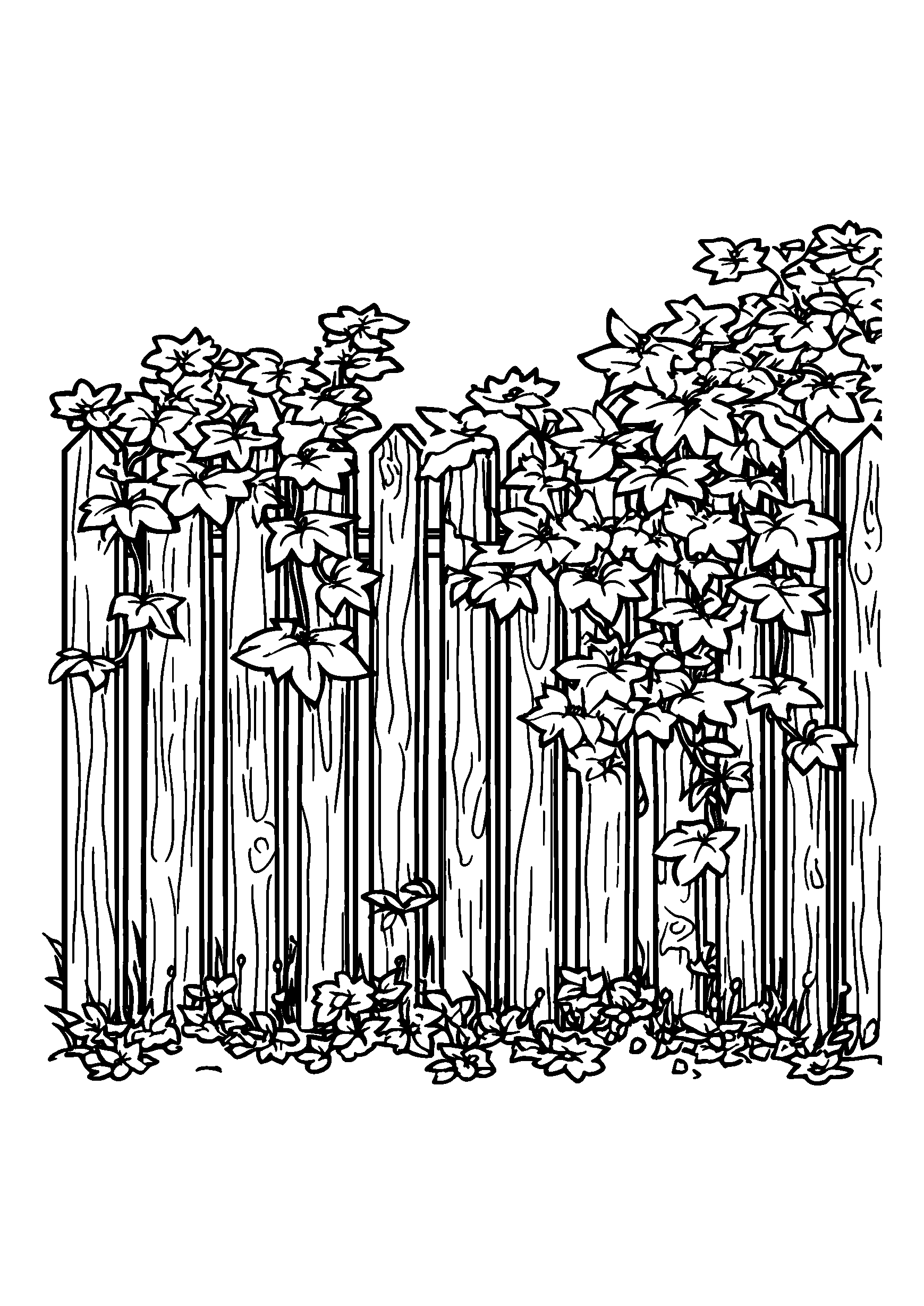 Old Wooden Fence Covered with Creeping Vines coloring page