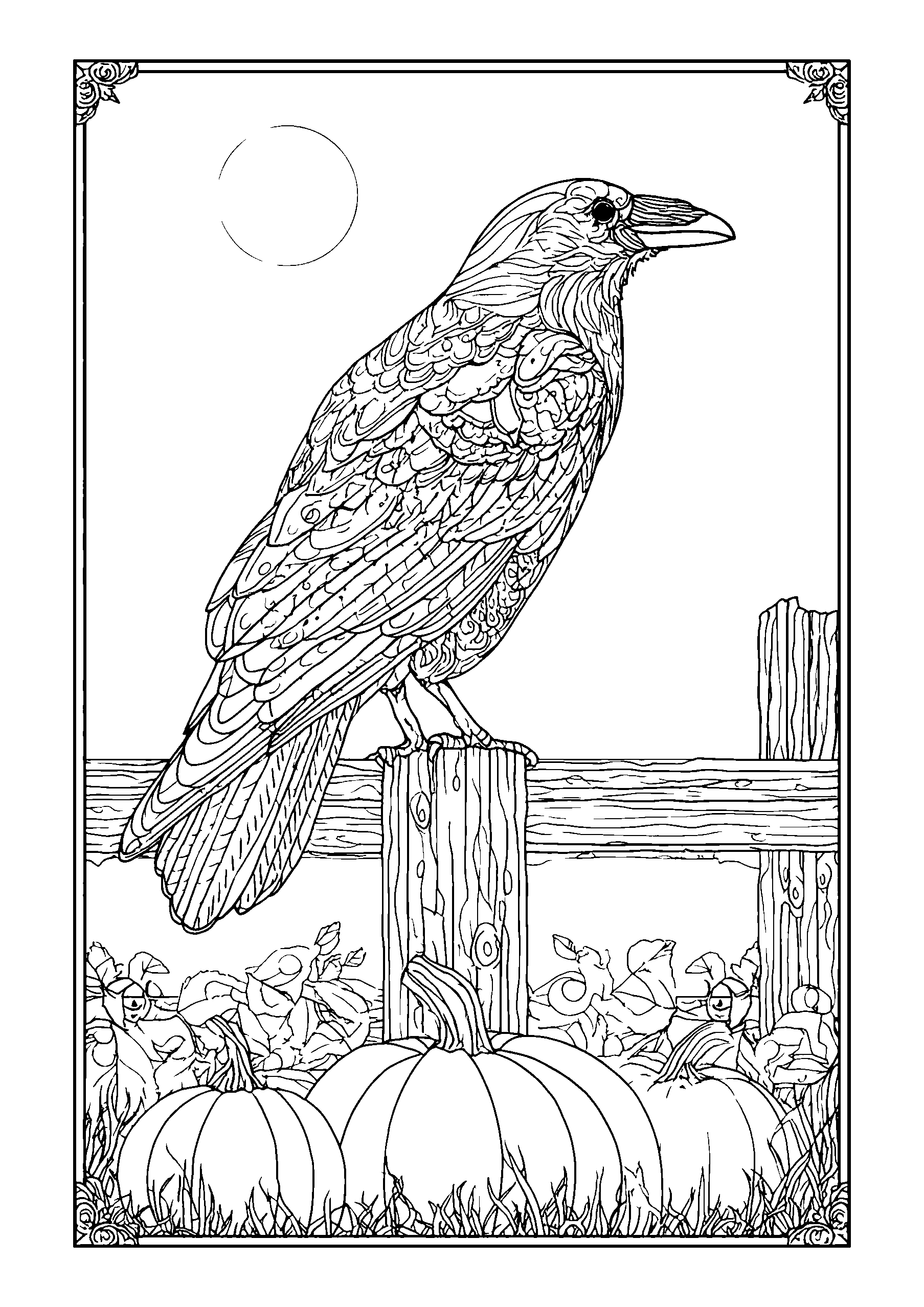 Cheerful Crow Perched on a Fence Post Near Pumpkins coloring page