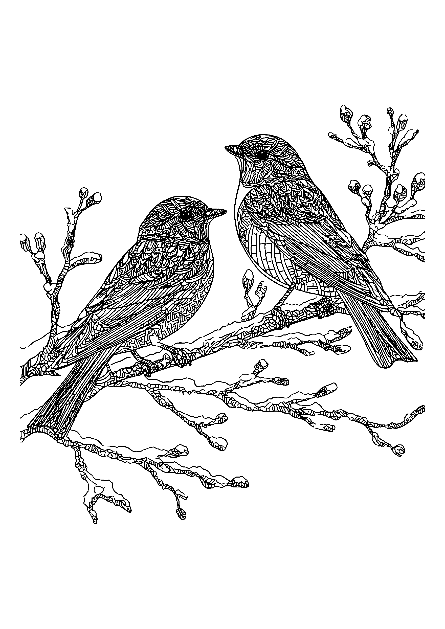 Birds Perched on a Snow-laden Branch coloring page