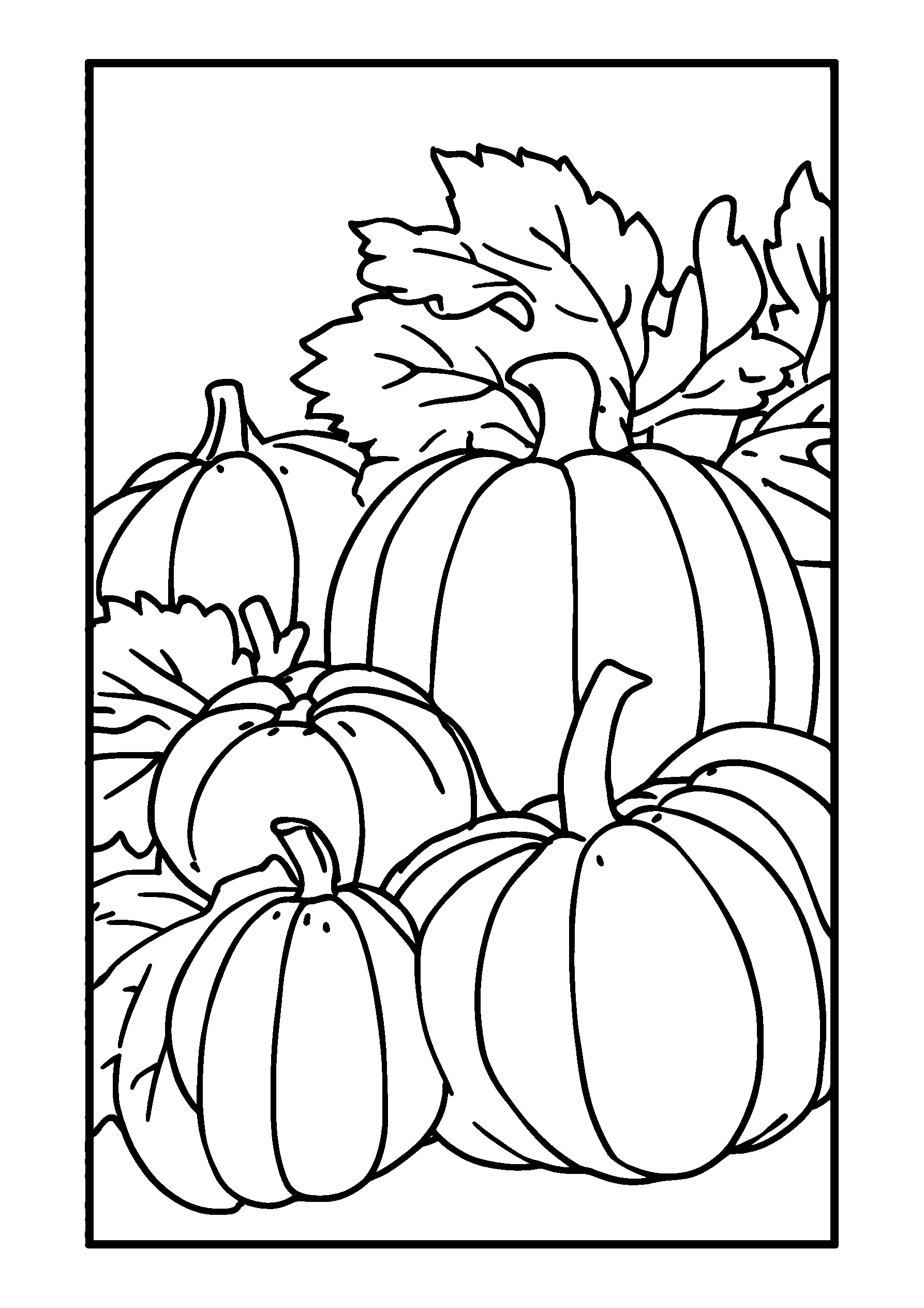 Colorful Display of Pumpkins at a Festival coloring page